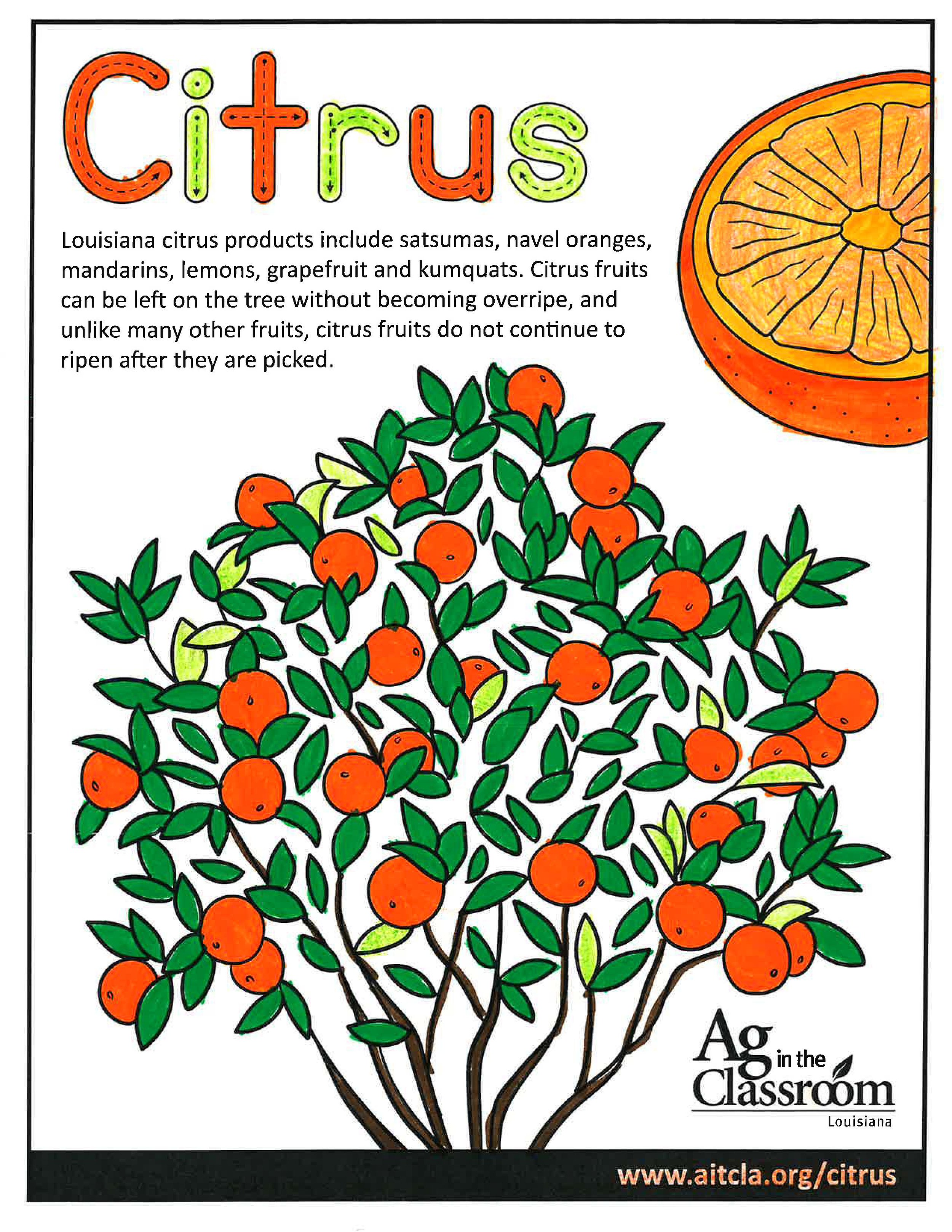 Citrus_LouisianaAgWeek2024_Page_6.jpg