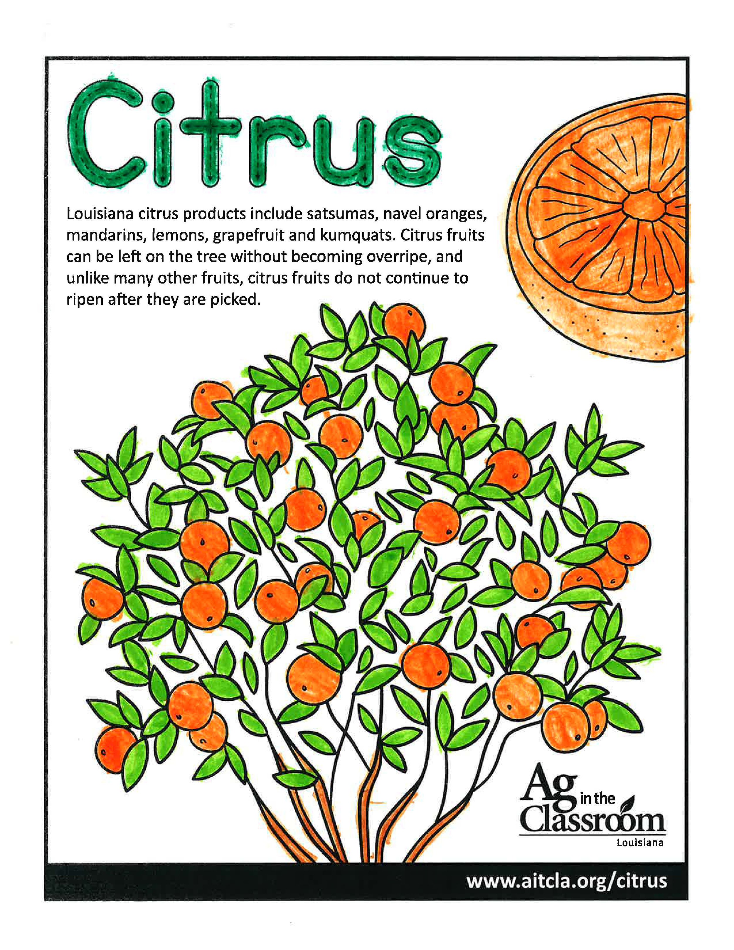 Citrus_LouisianaAgWeek2024_Page_7.jpg