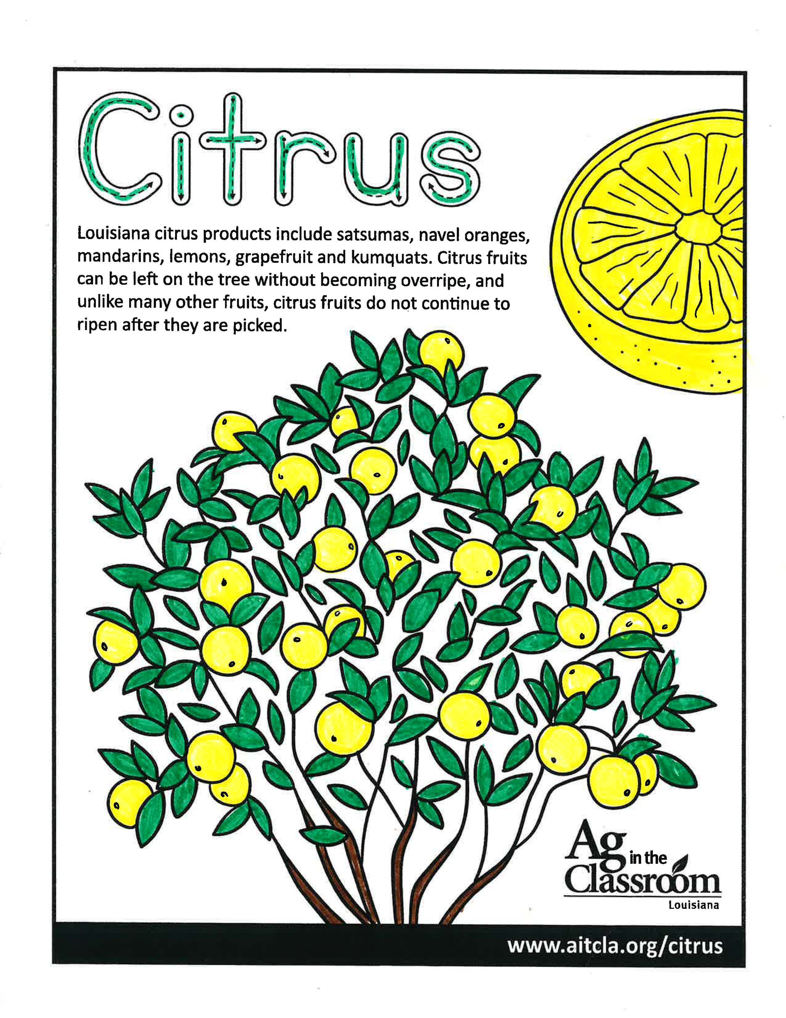 Citrus_LouisianaAgWeek2024_Page_8.jpg