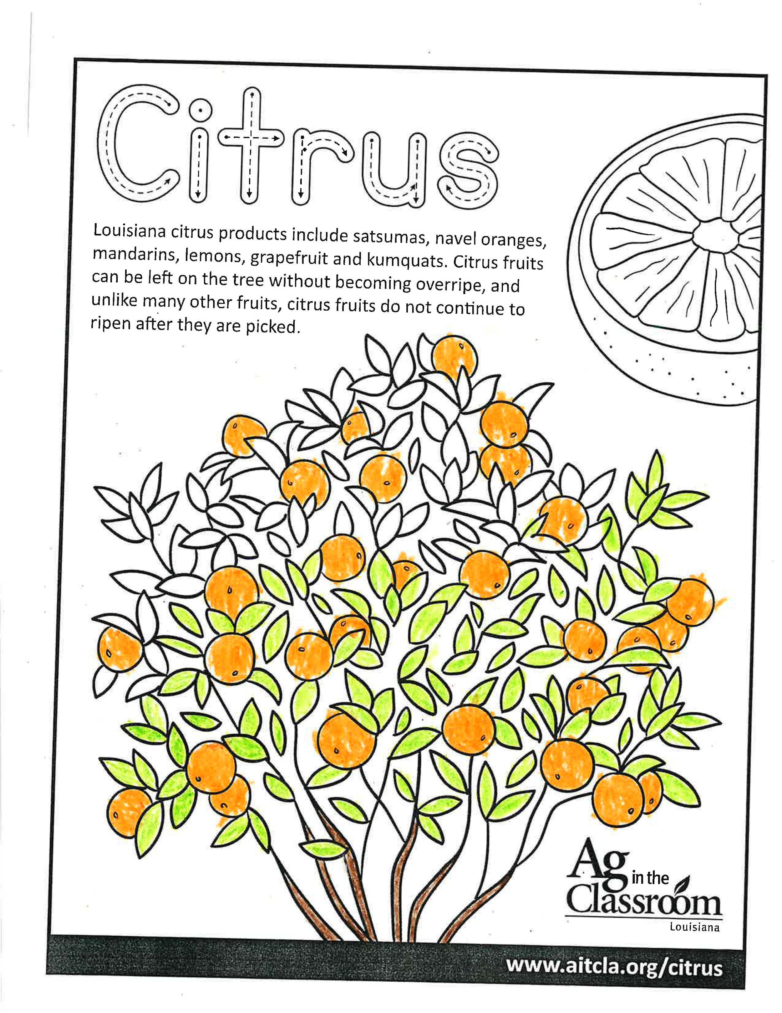 Citrus_LouisianaAgWeek2024_Page_9.jpg