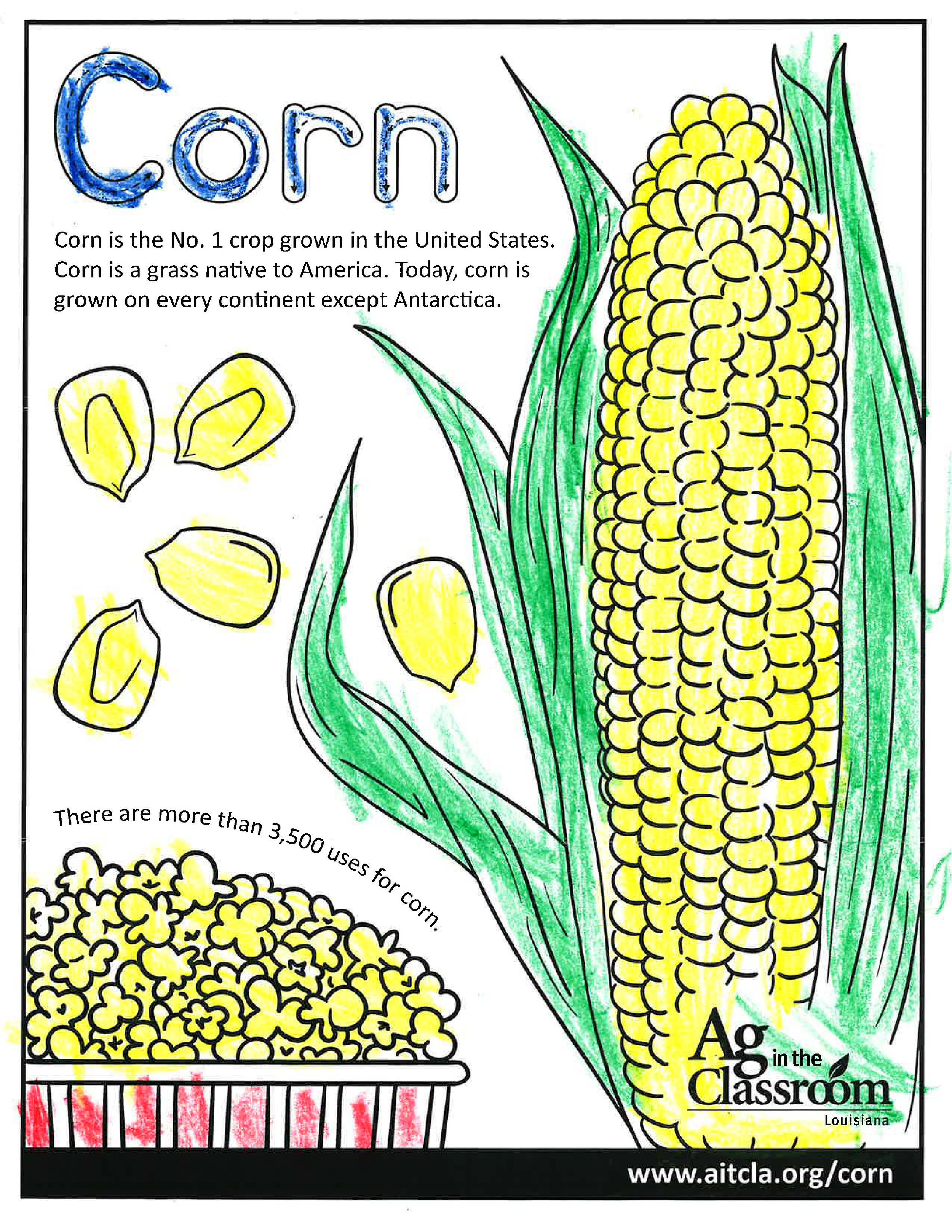 Corn_LouisianaAgWeek2024_Page_01.jpg