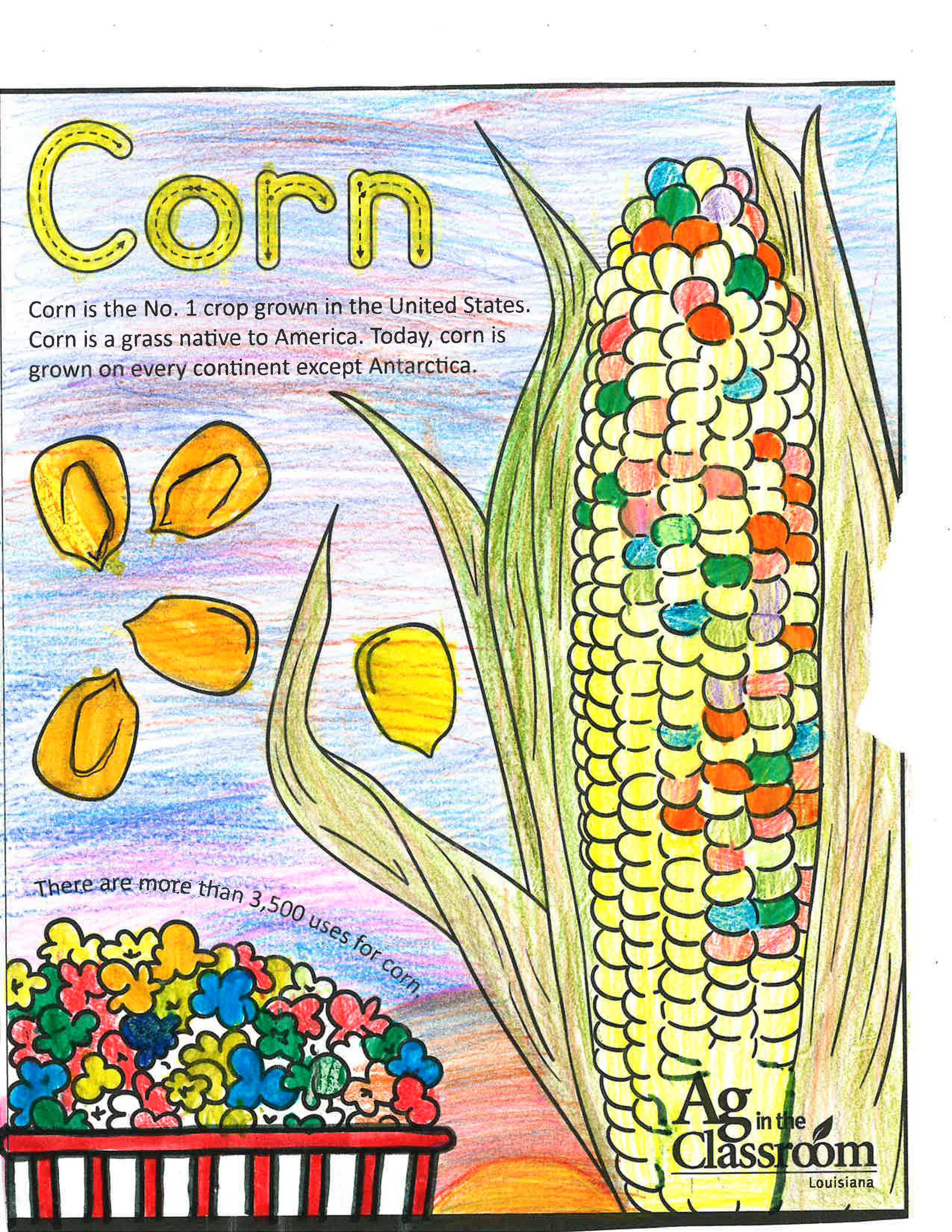 Corn_LouisianaAgWeek2024_Page_02.jpg