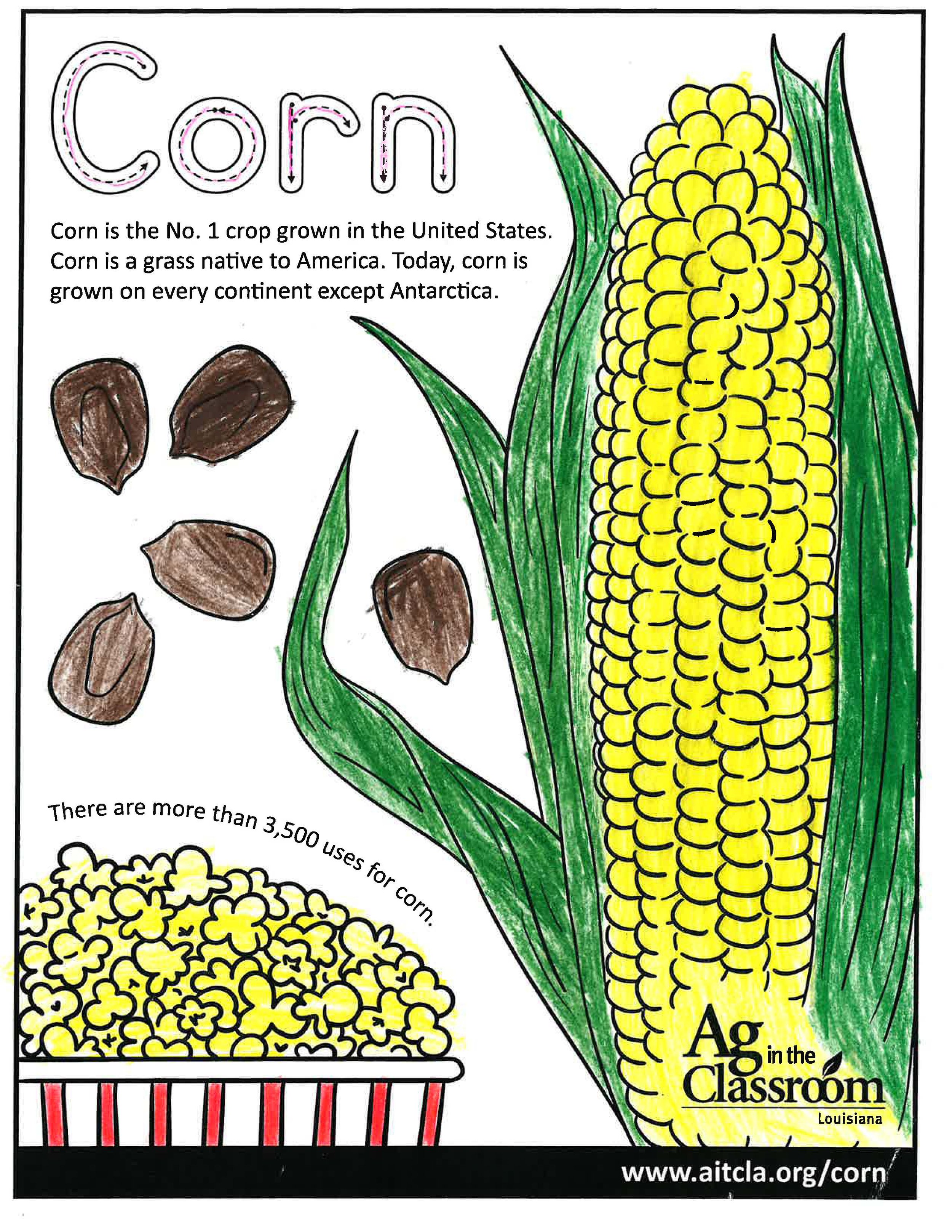 Corn_LouisianaAgWeek2024_Page_03.jpg