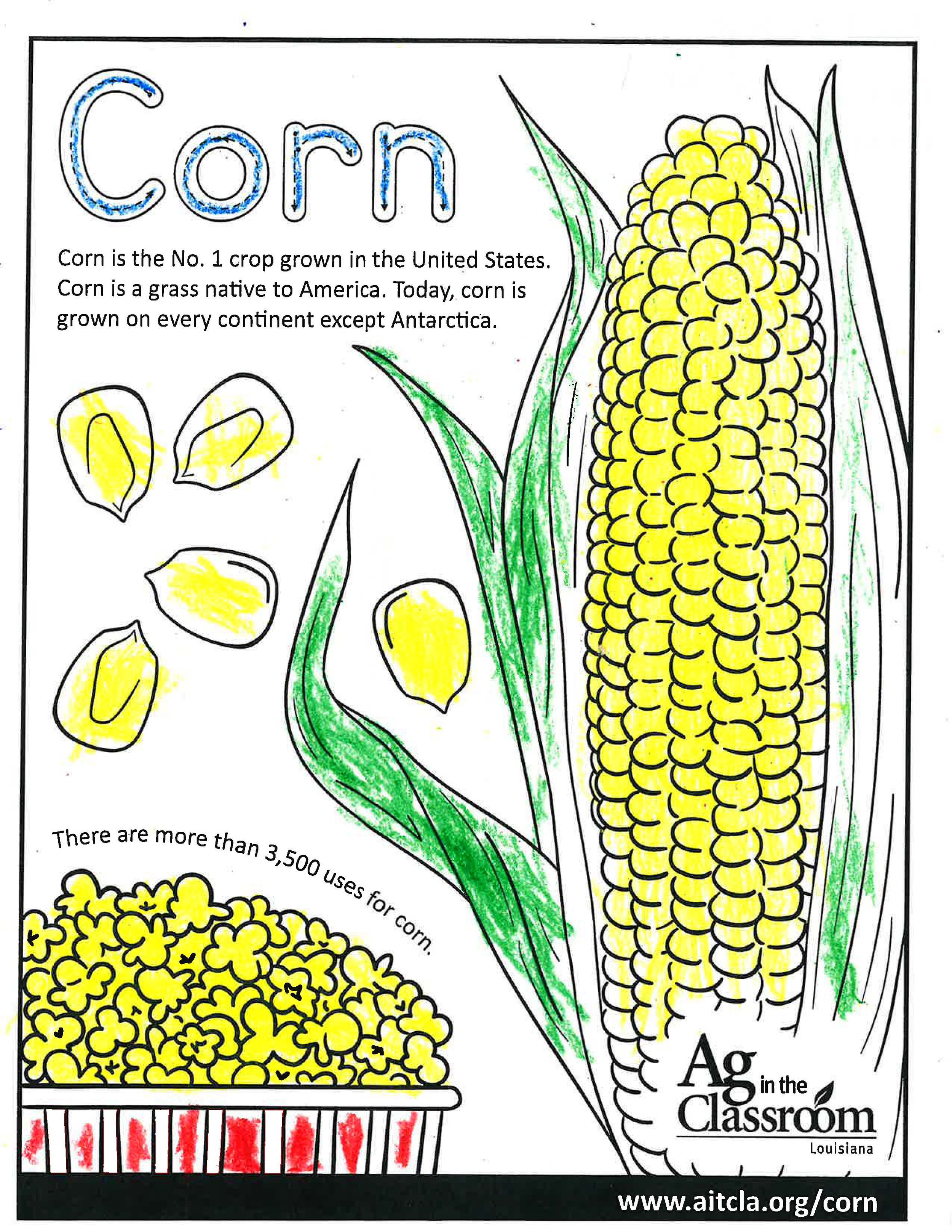 Corn_LouisianaAgWeek2024_Page_04.jpg