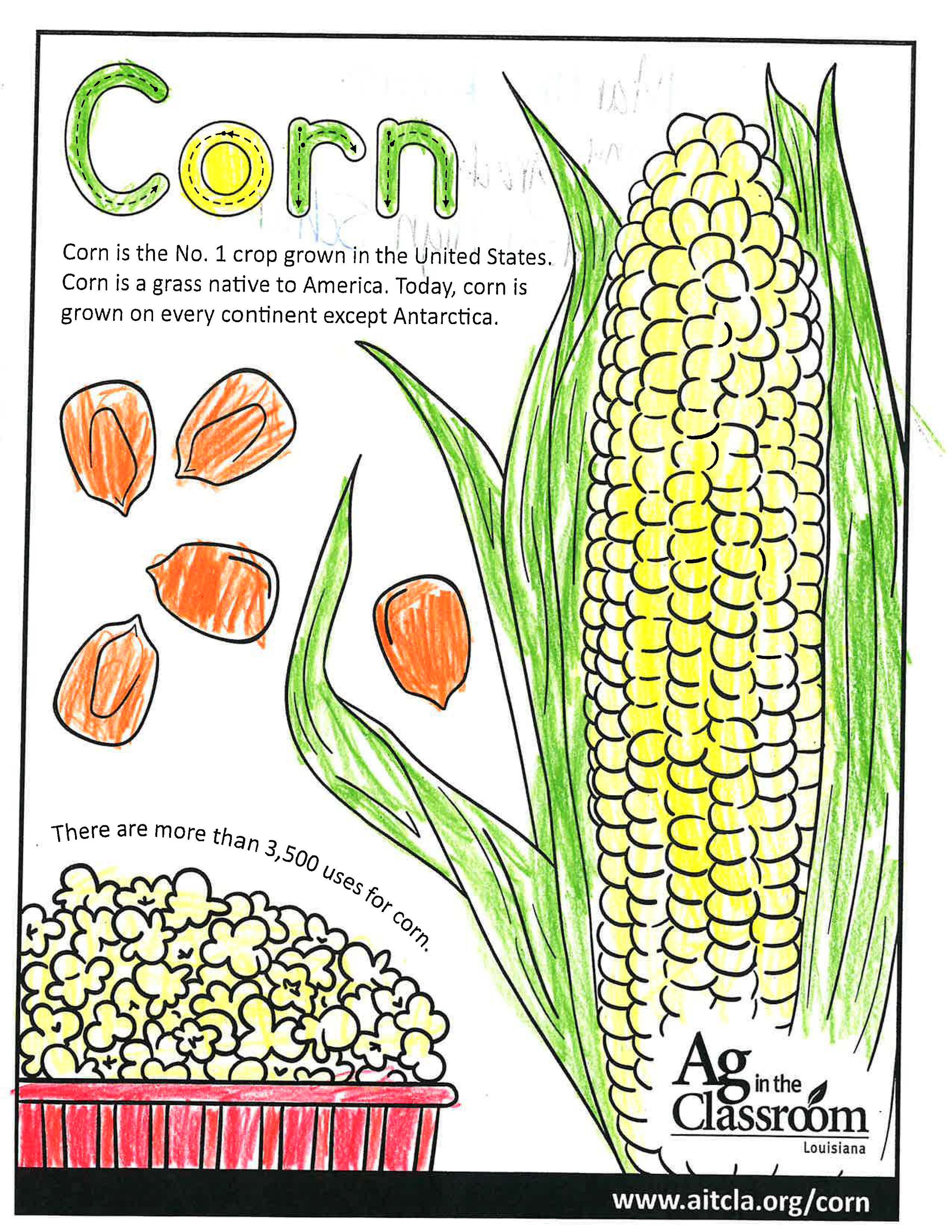 Corn_LouisianaAgWeek2024_Page_05.jpg