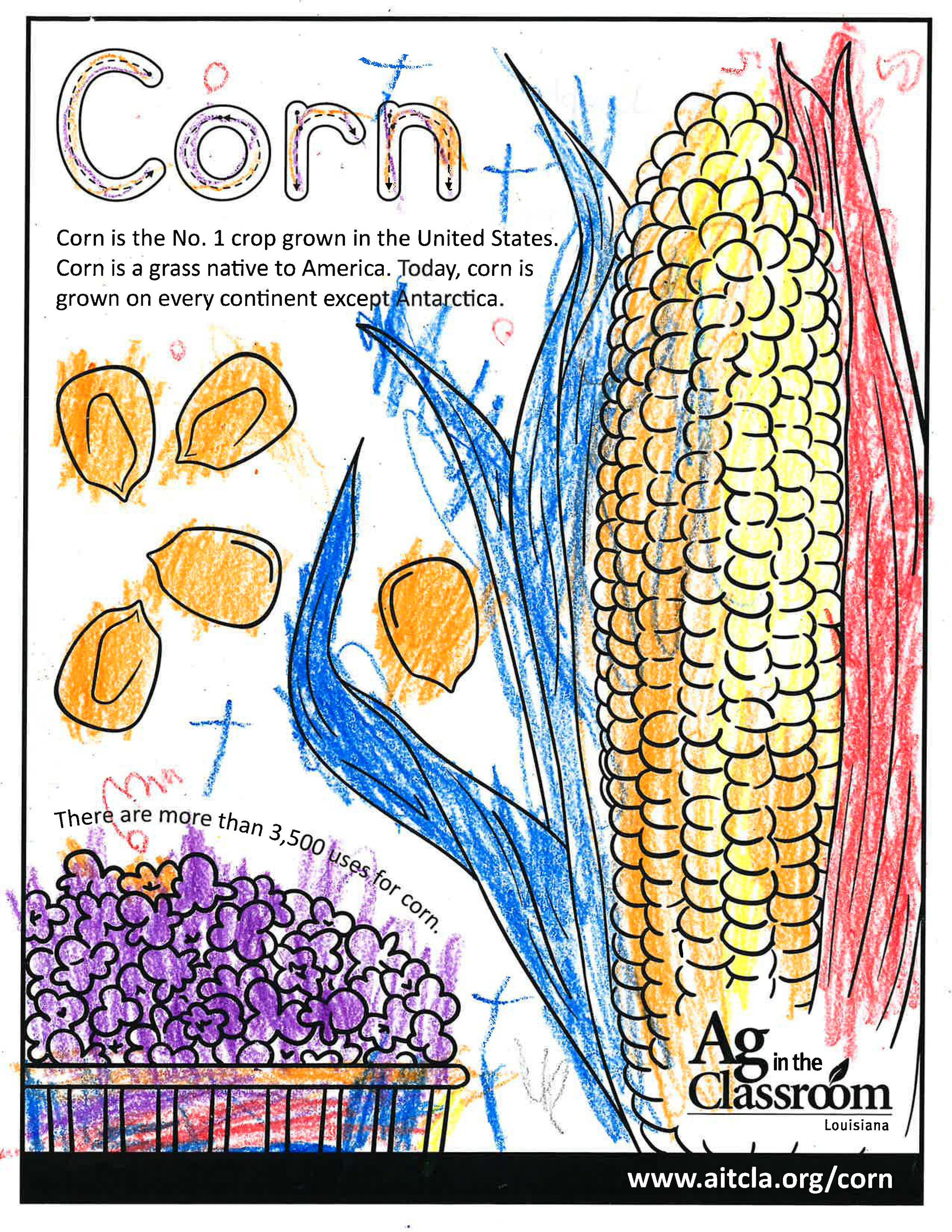 Corn_LouisianaAgWeek2024_Page_06.jpg