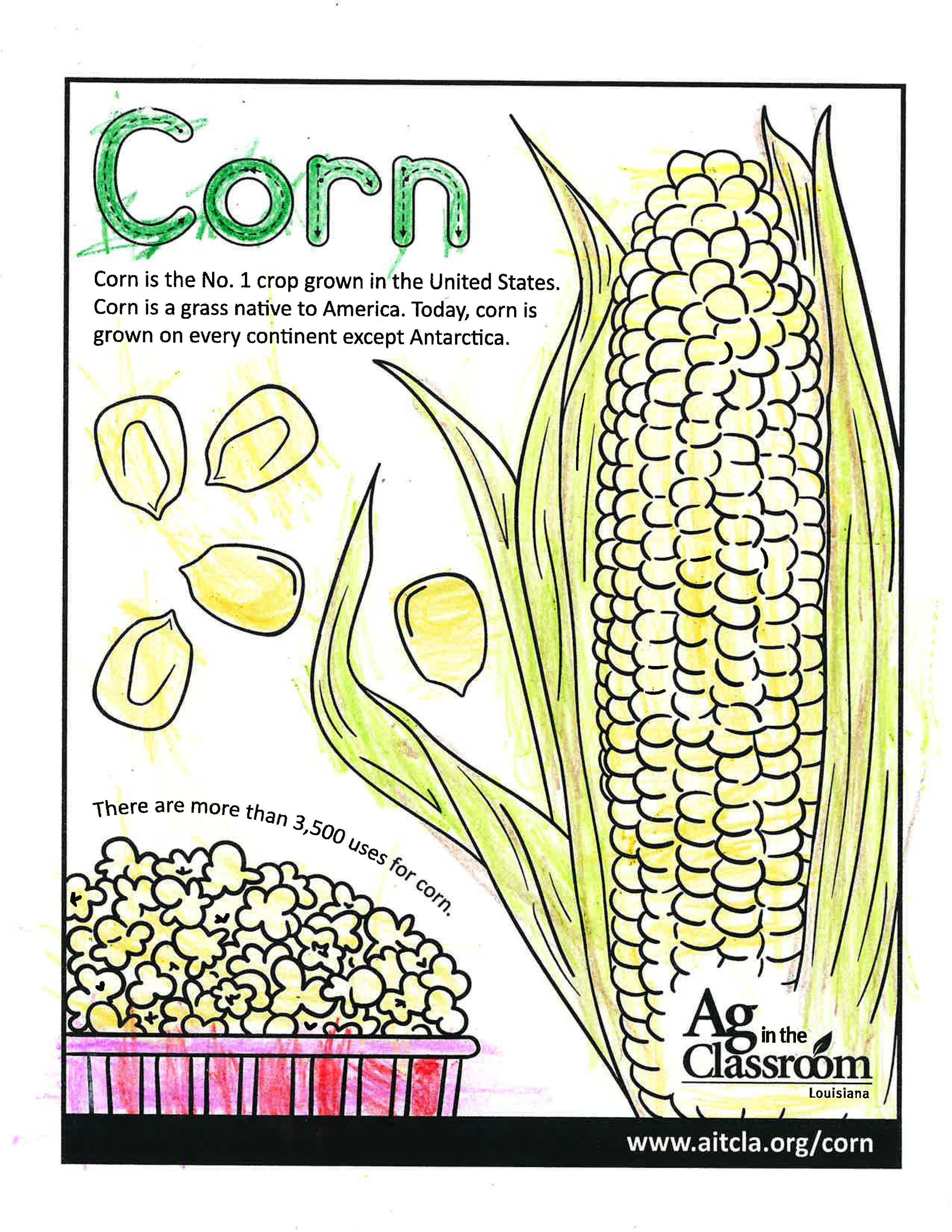 Corn_LouisianaAgWeek2024_Page_07.jpg