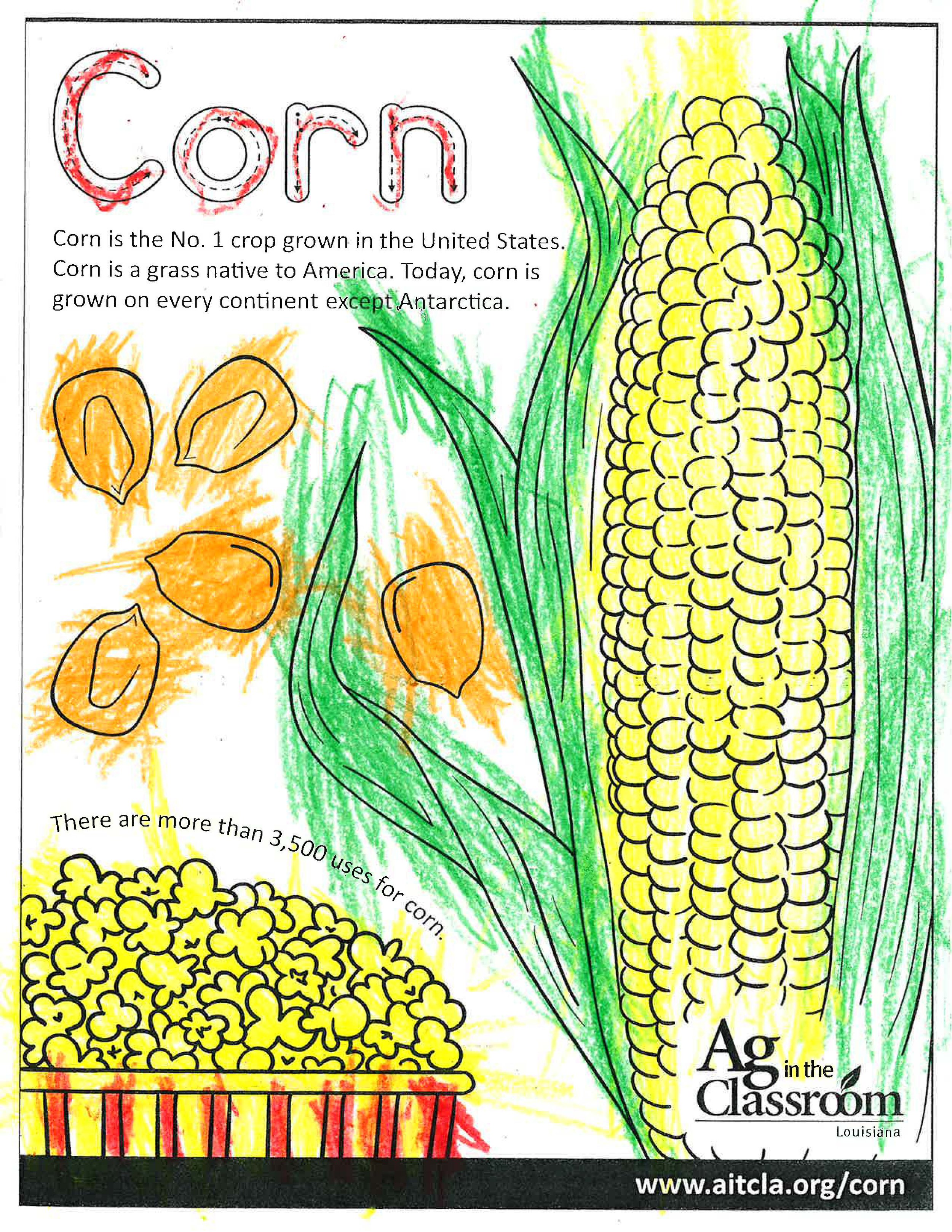 Corn_LouisianaAgWeek2024_Page_08.jpg