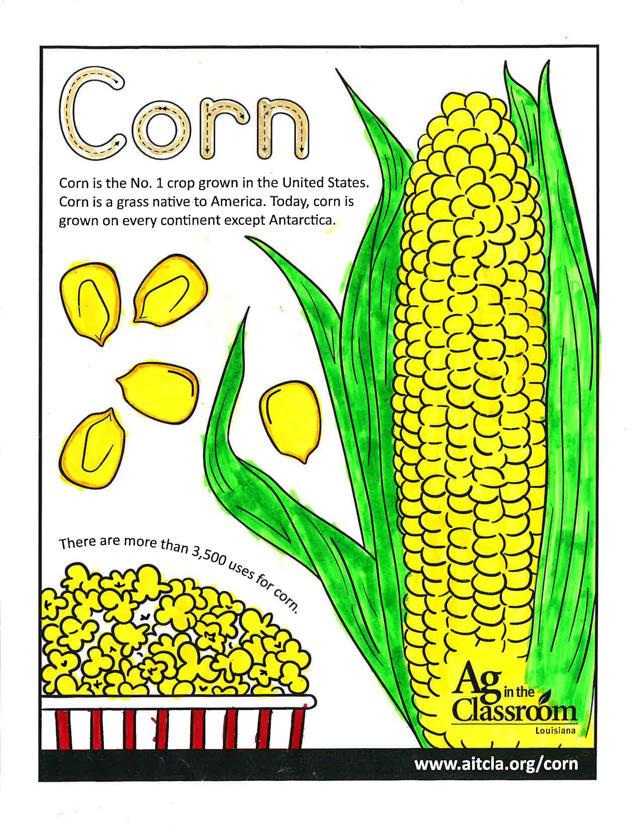 Corn_LouisianaAgWeek2024_Page_09.jpg