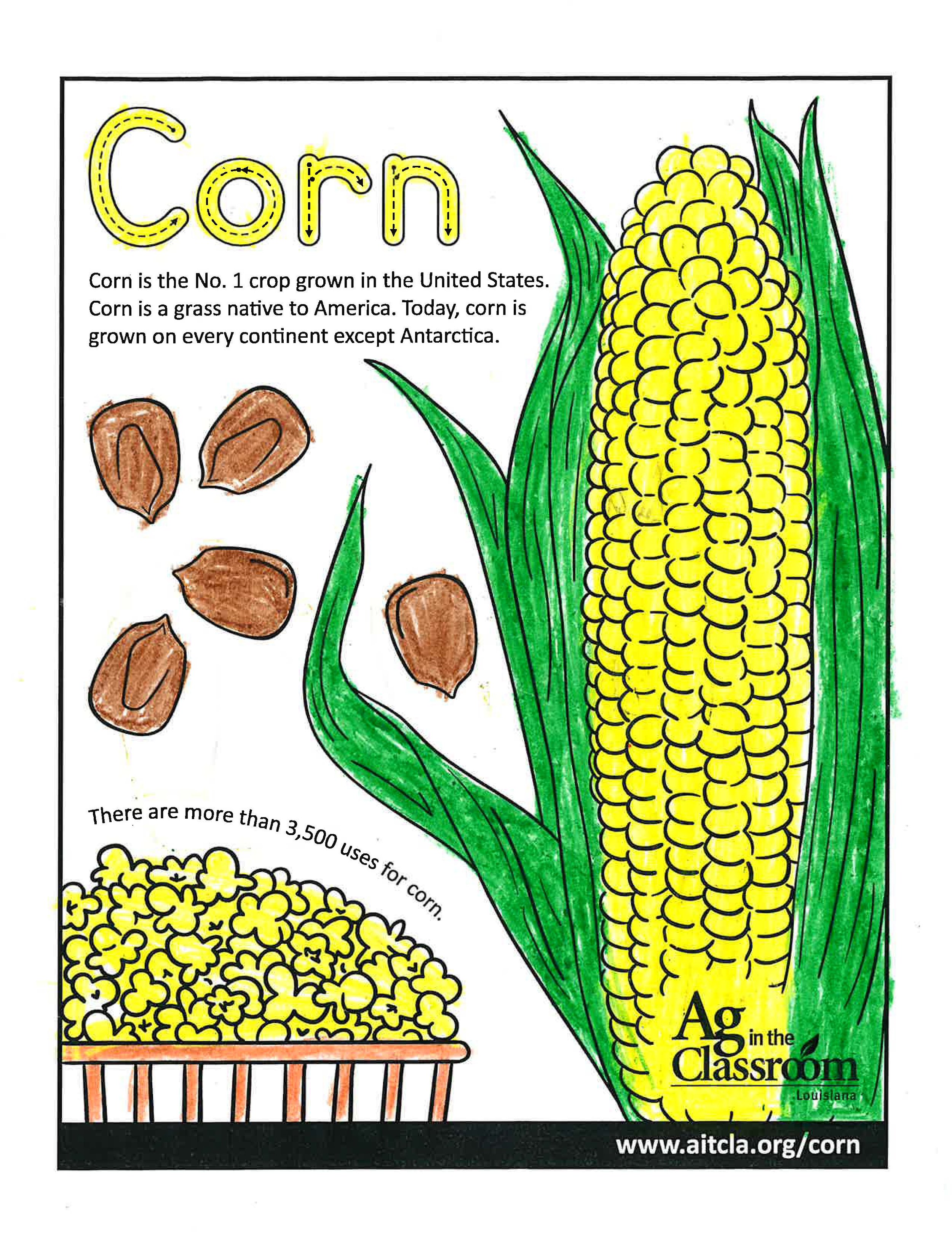 Corn_LouisianaAgWeek2024_Page_10.jpg