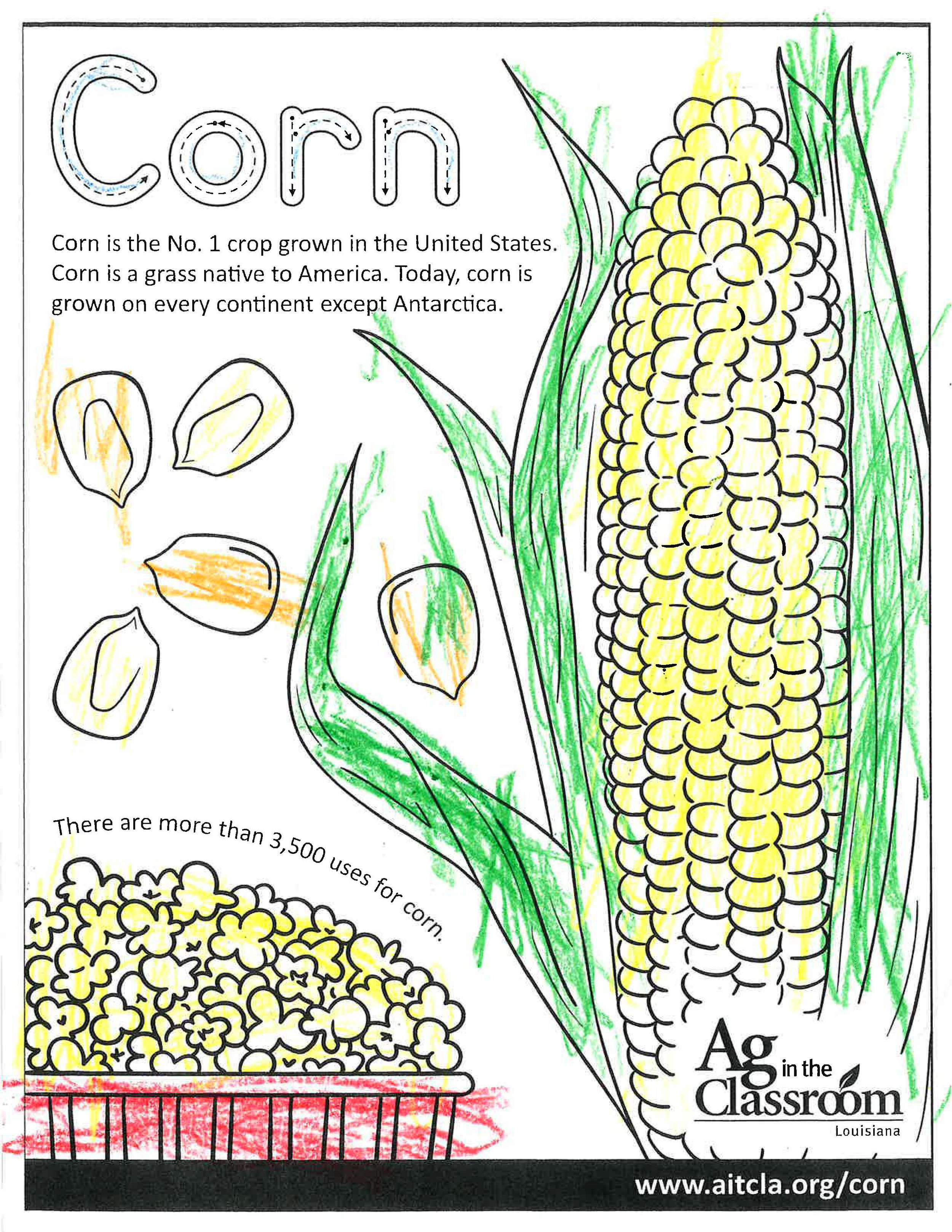 Corn_LouisianaAgWeek2024_Page_11.jpg
