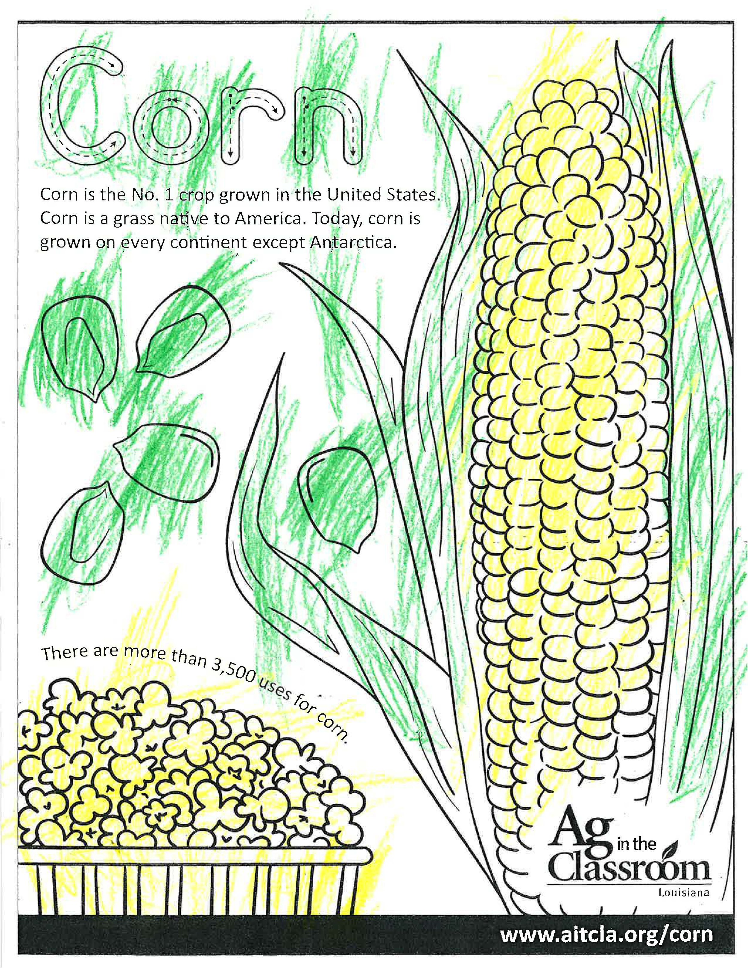 Corn_LouisianaAgWeek2024_Page_12.jpg