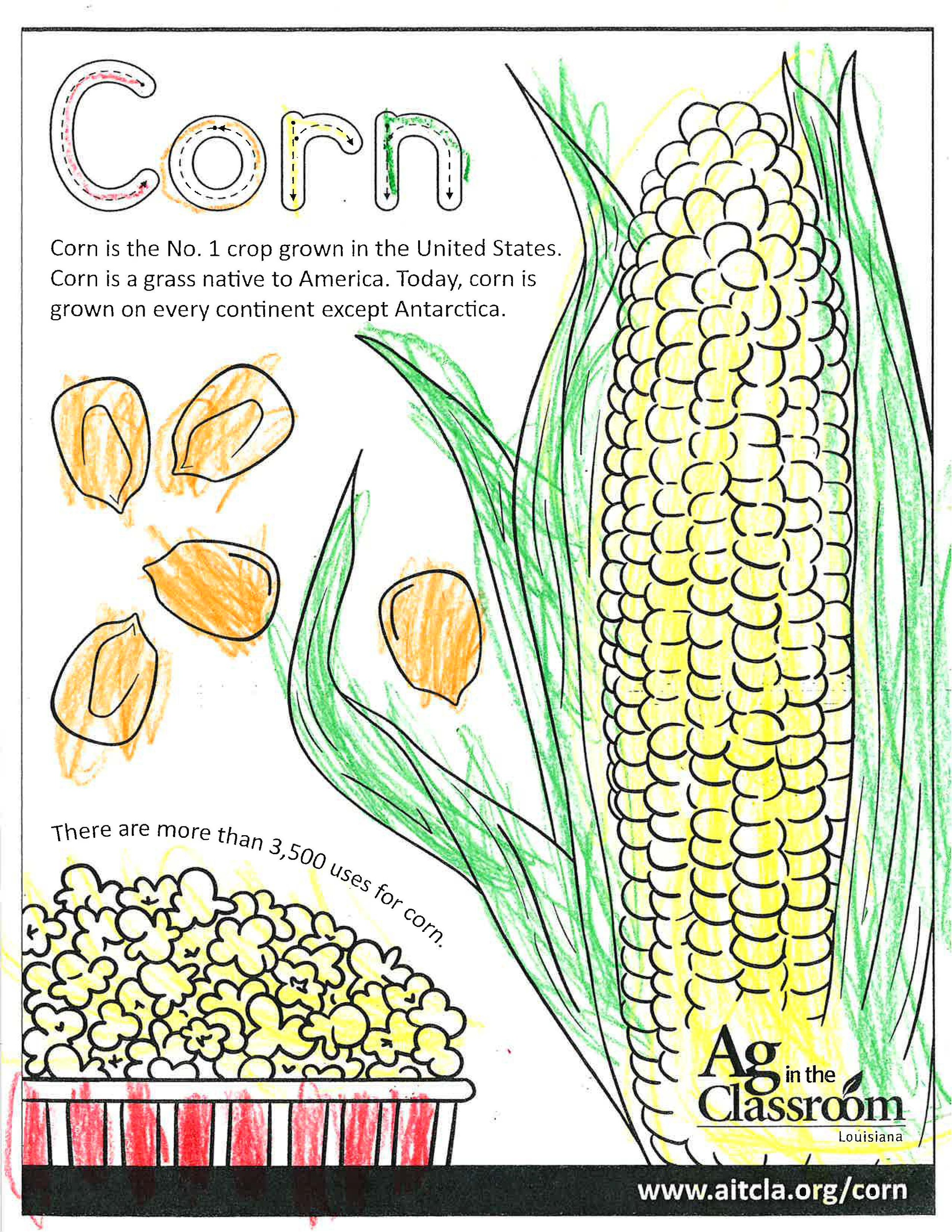 Corn_LouisianaAgWeek2024_Page_13.jpg