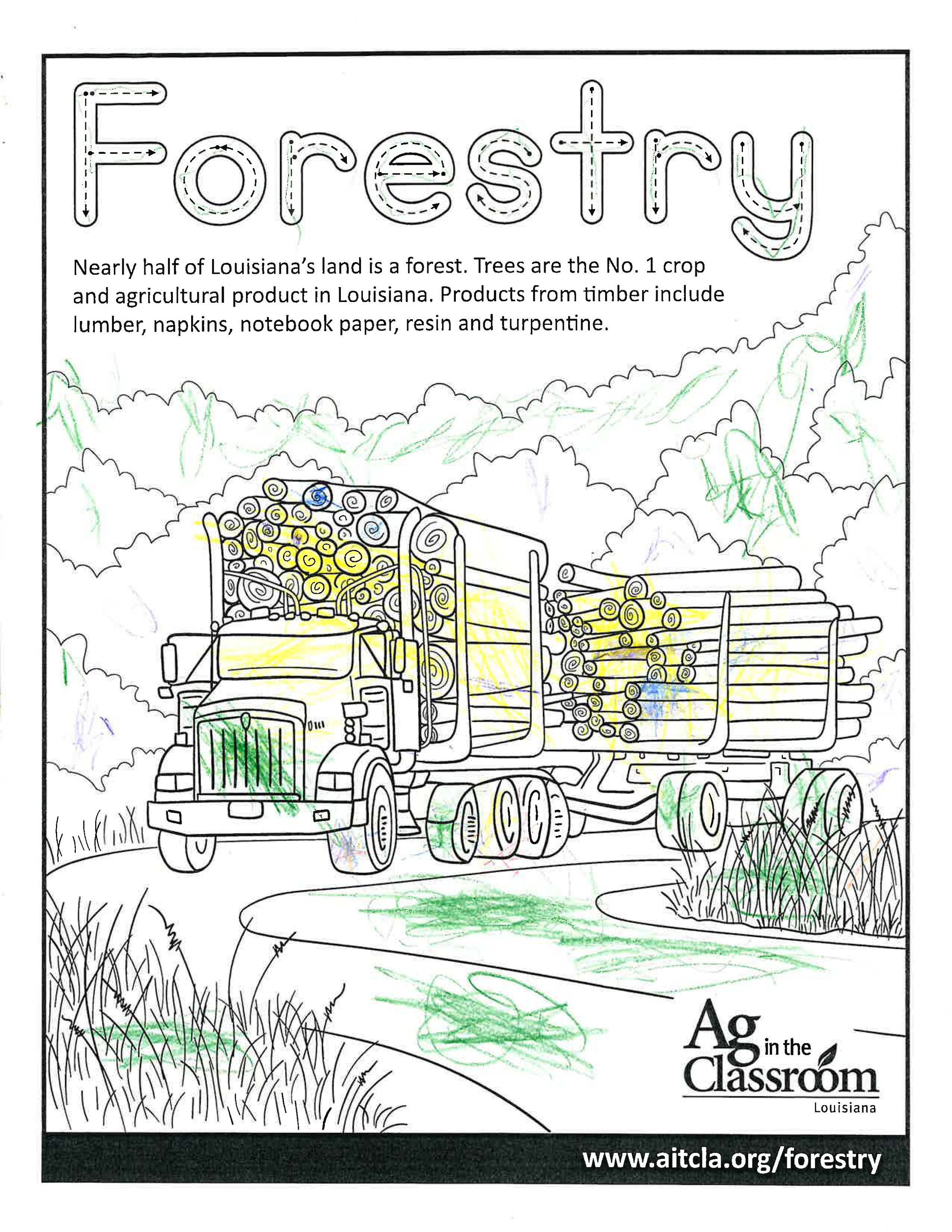 Forestry_LouisianaAgWeek2024_Page_13.jpg