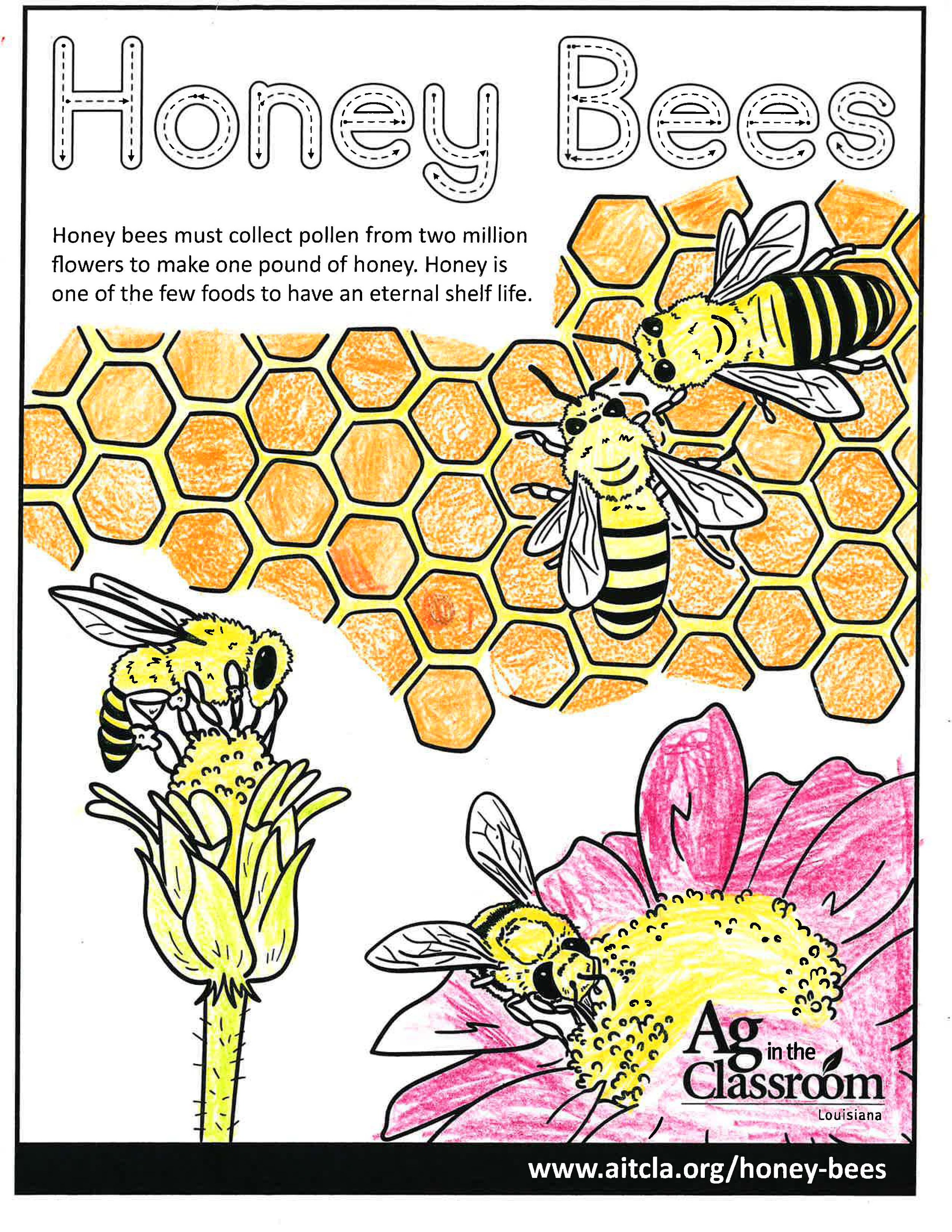 Honey Bees_LouisianaAgWeek2024_Page_01.jpg