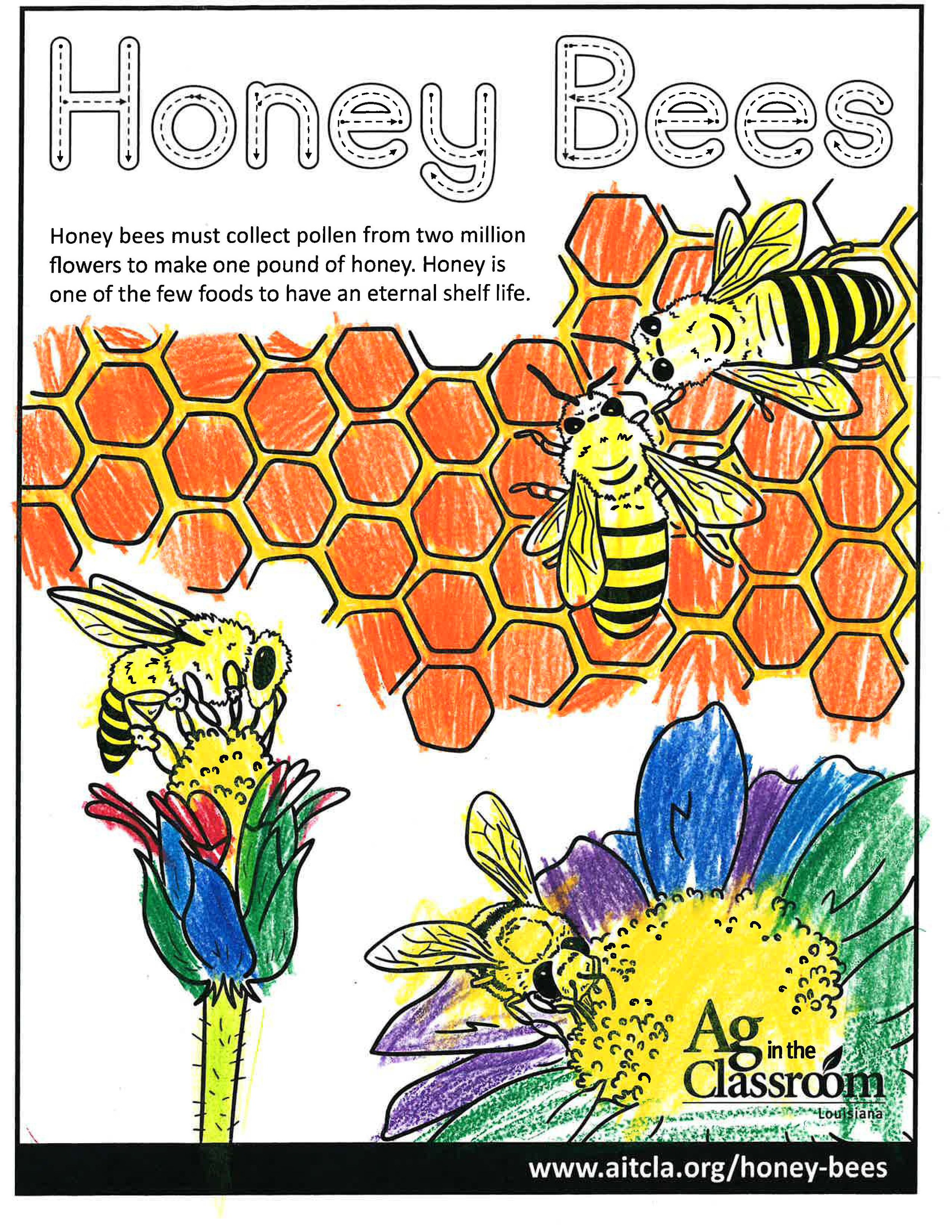 Honey Bees_LouisianaAgWeek2024_Page_02.jpg