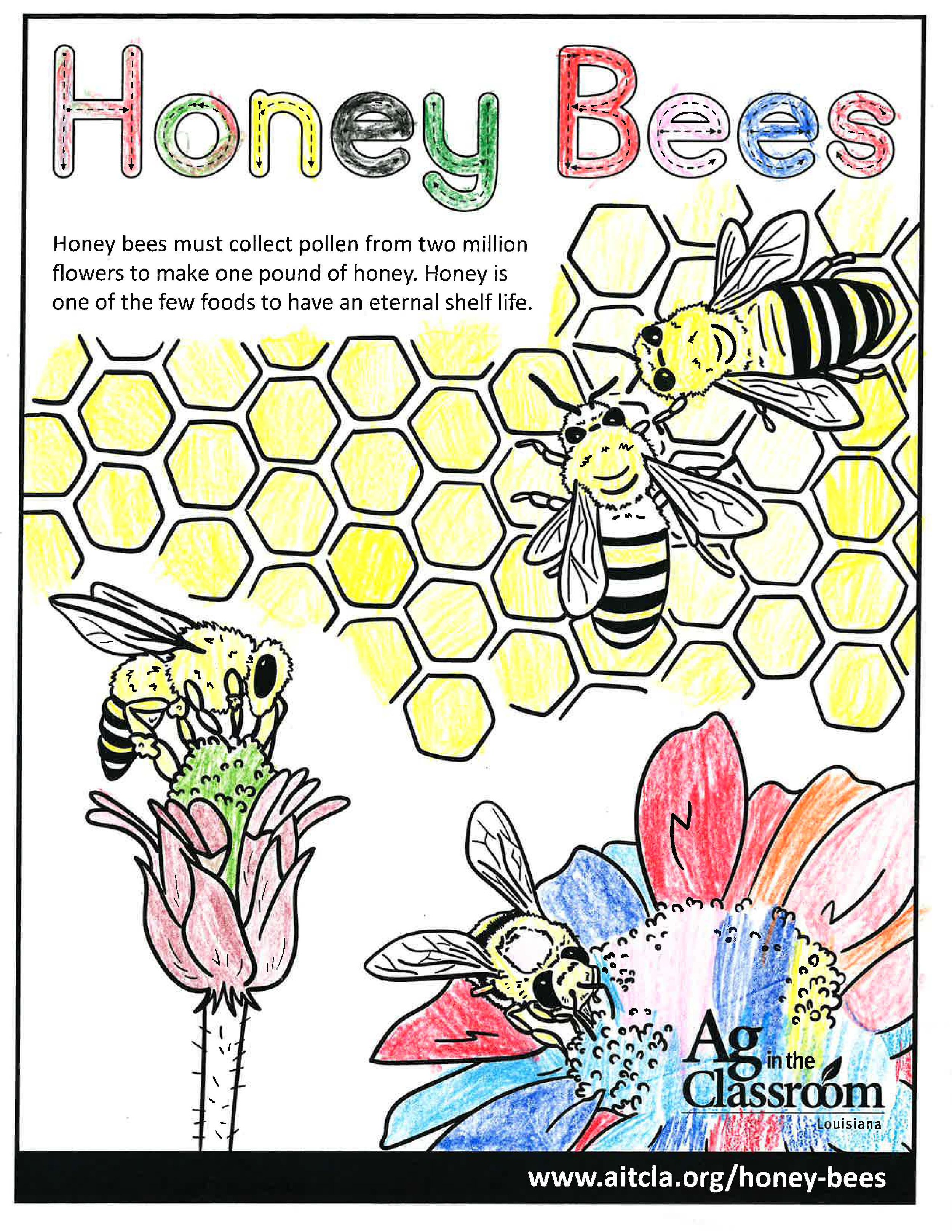 Honey Bees_LouisianaAgWeek2024_Page_03.jpg