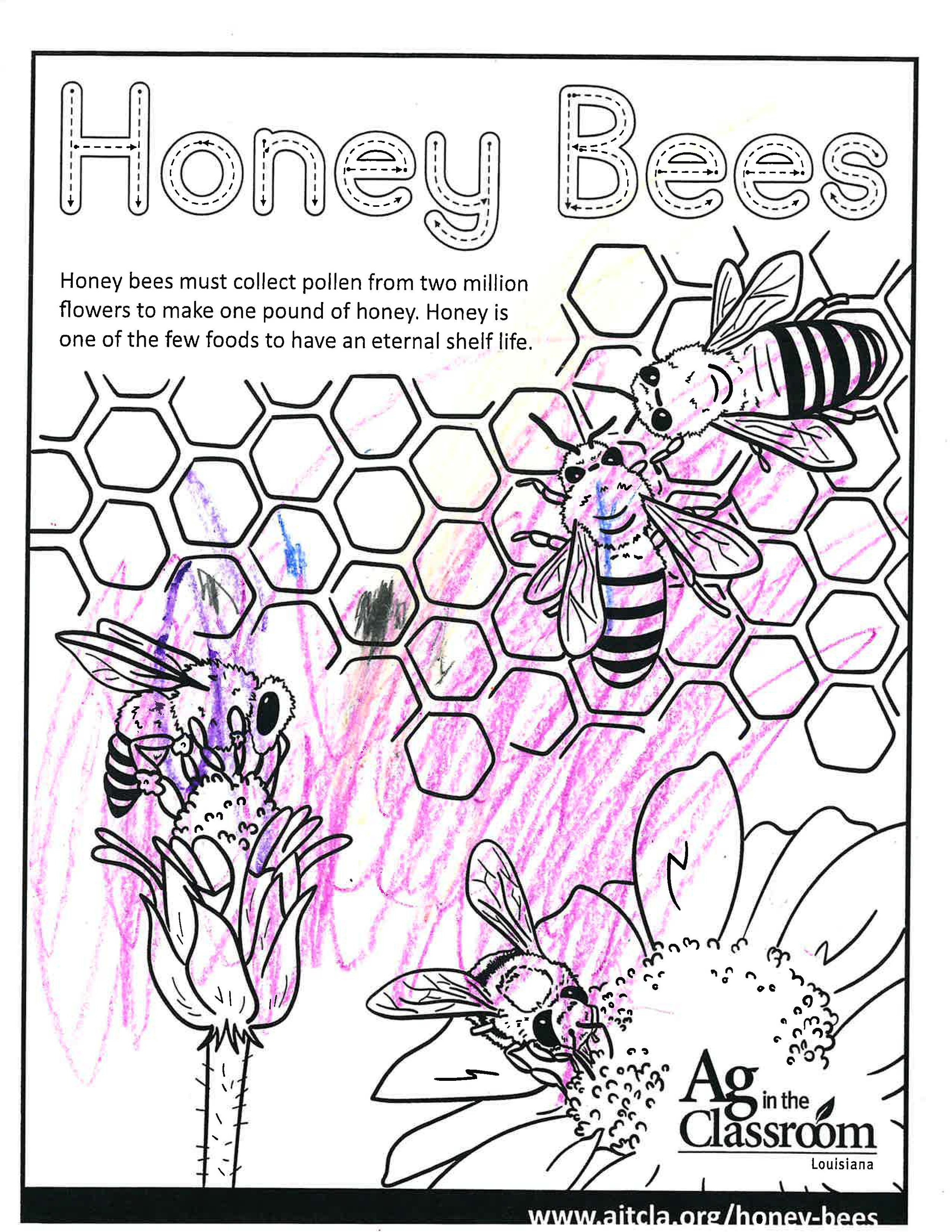 Honey Bees_LouisianaAgWeek2024_Page_04.jpg
