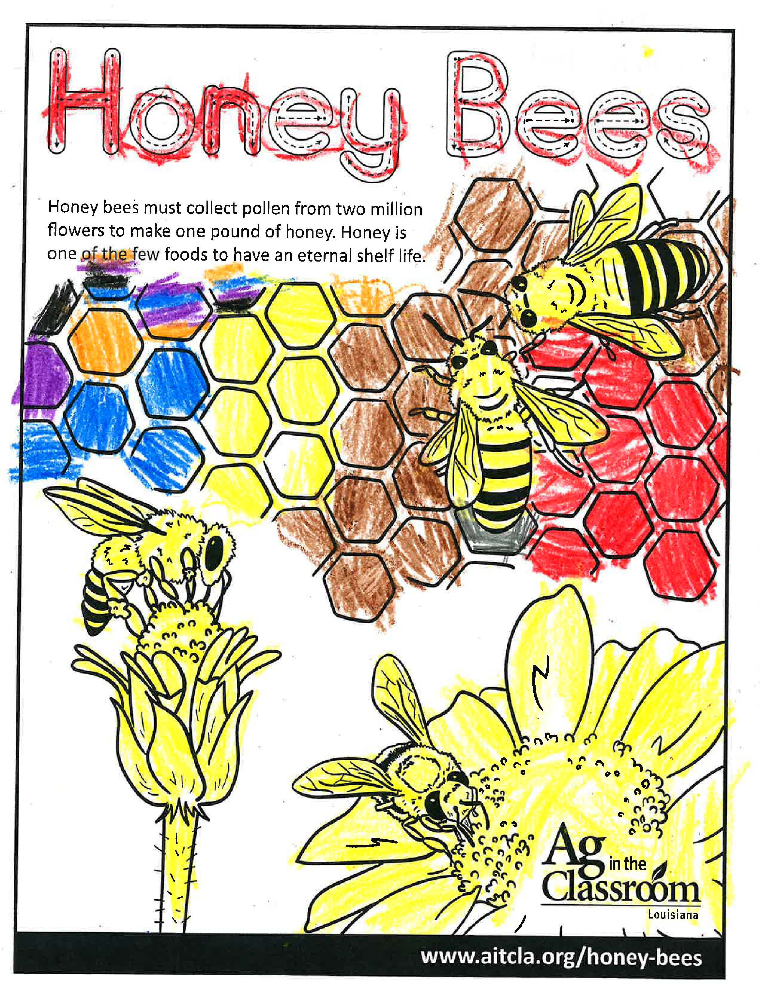 Honey Bees_LouisianaAgWeek2024_Page_05.jpg