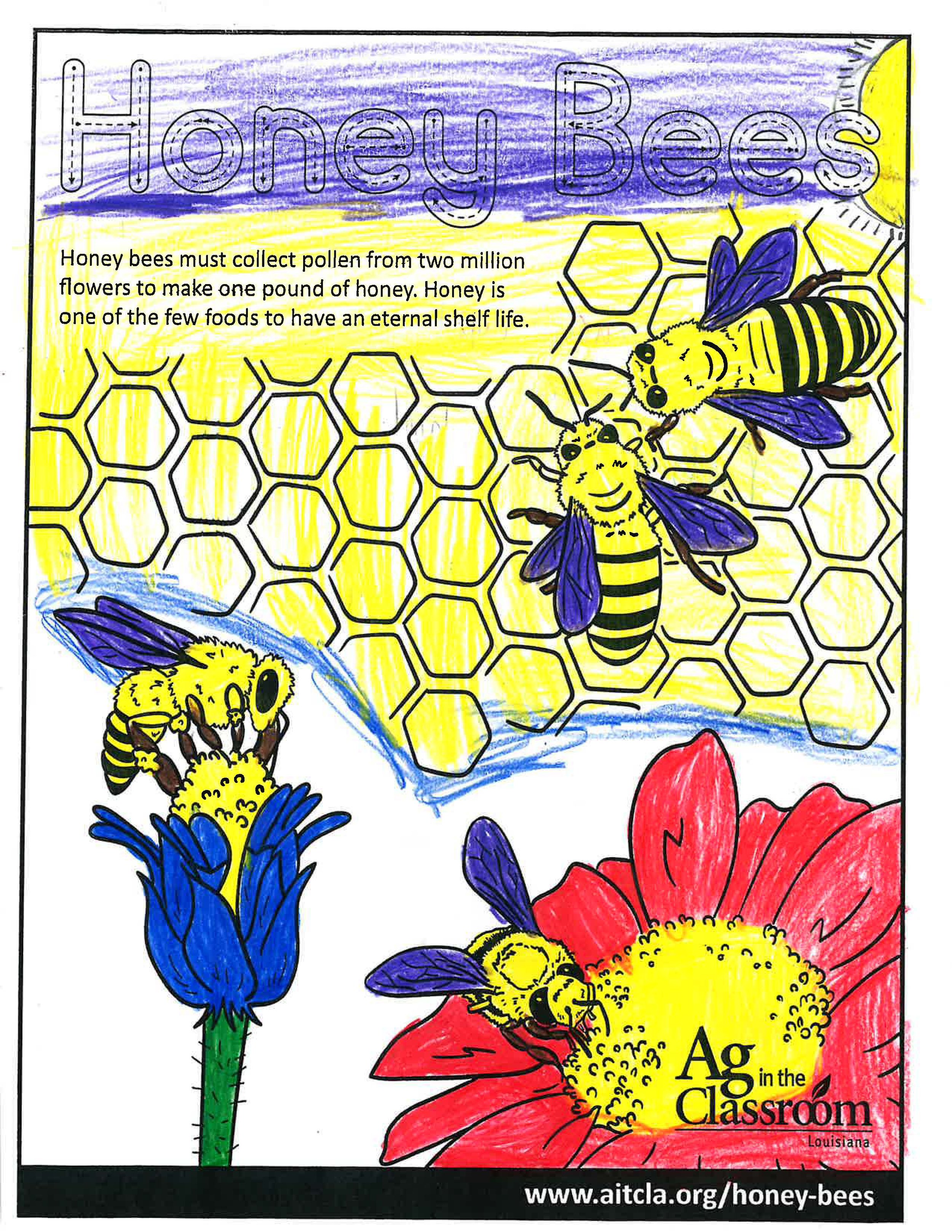 Honey Bees_LouisianaAgWeek2024_Page_06.jpg