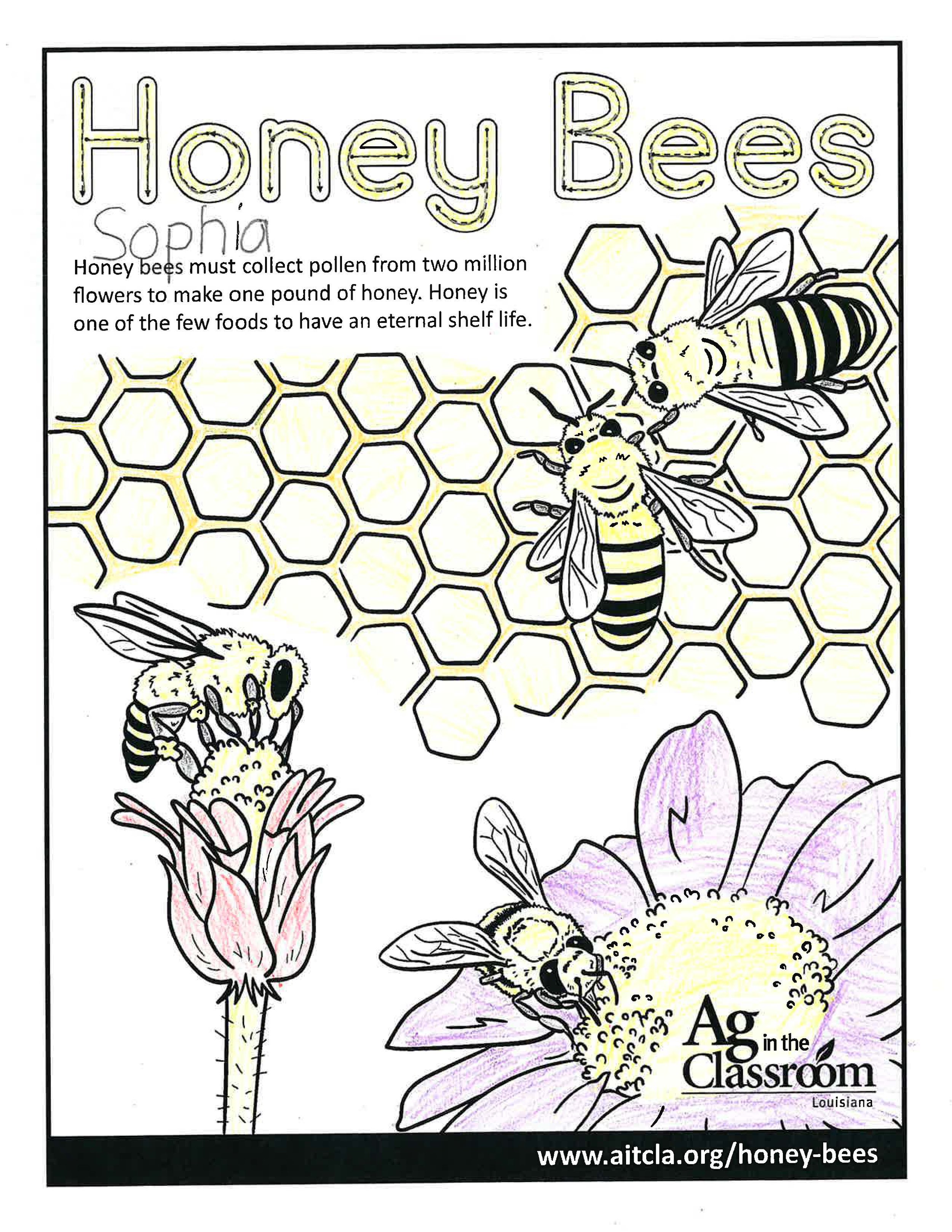 Honey Bees_LouisianaAgWeek2024_Page_07.jpg