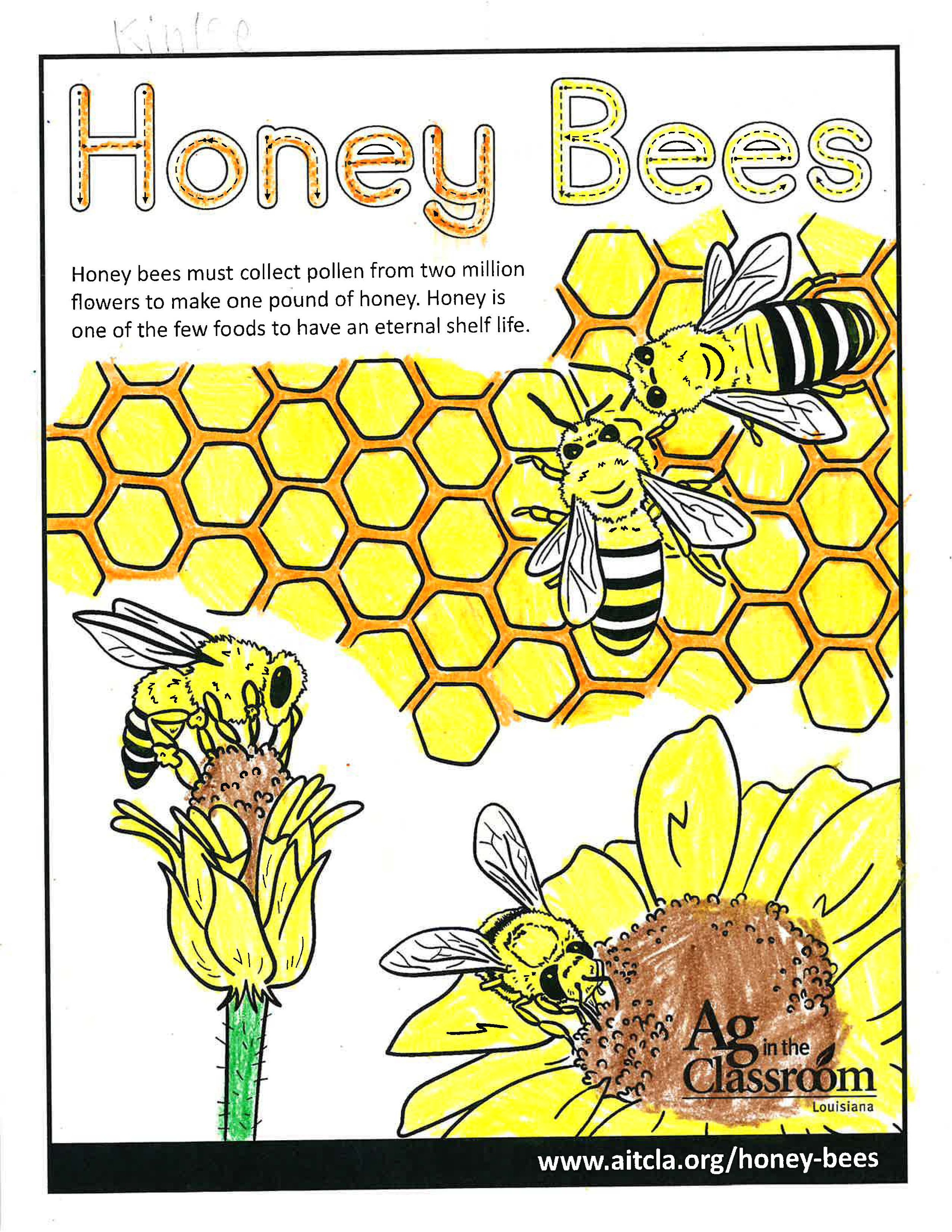 Honey Bees_LouisianaAgWeek2024_Page_08.jpg