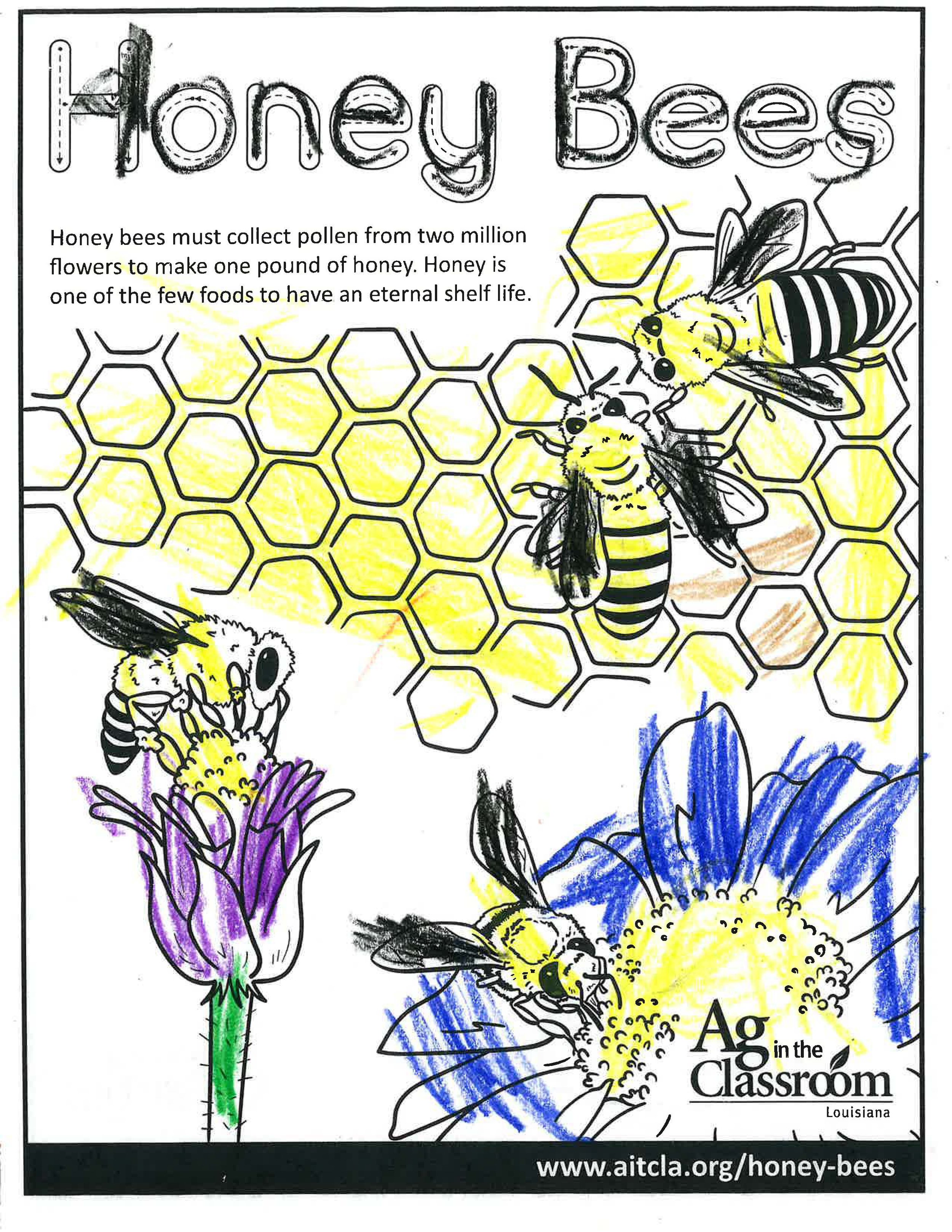 Honey Bees_LouisianaAgWeek2024_Page_09.jpg