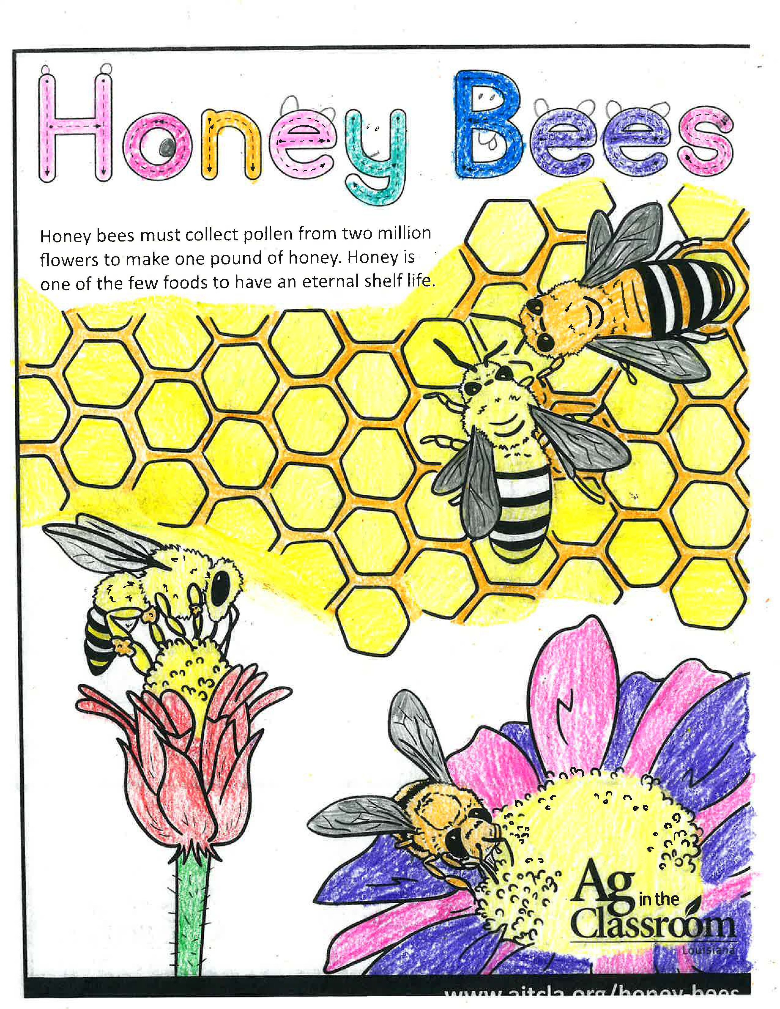 Honey Bees_LouisianaAgWeek2024_Page_10.jpg