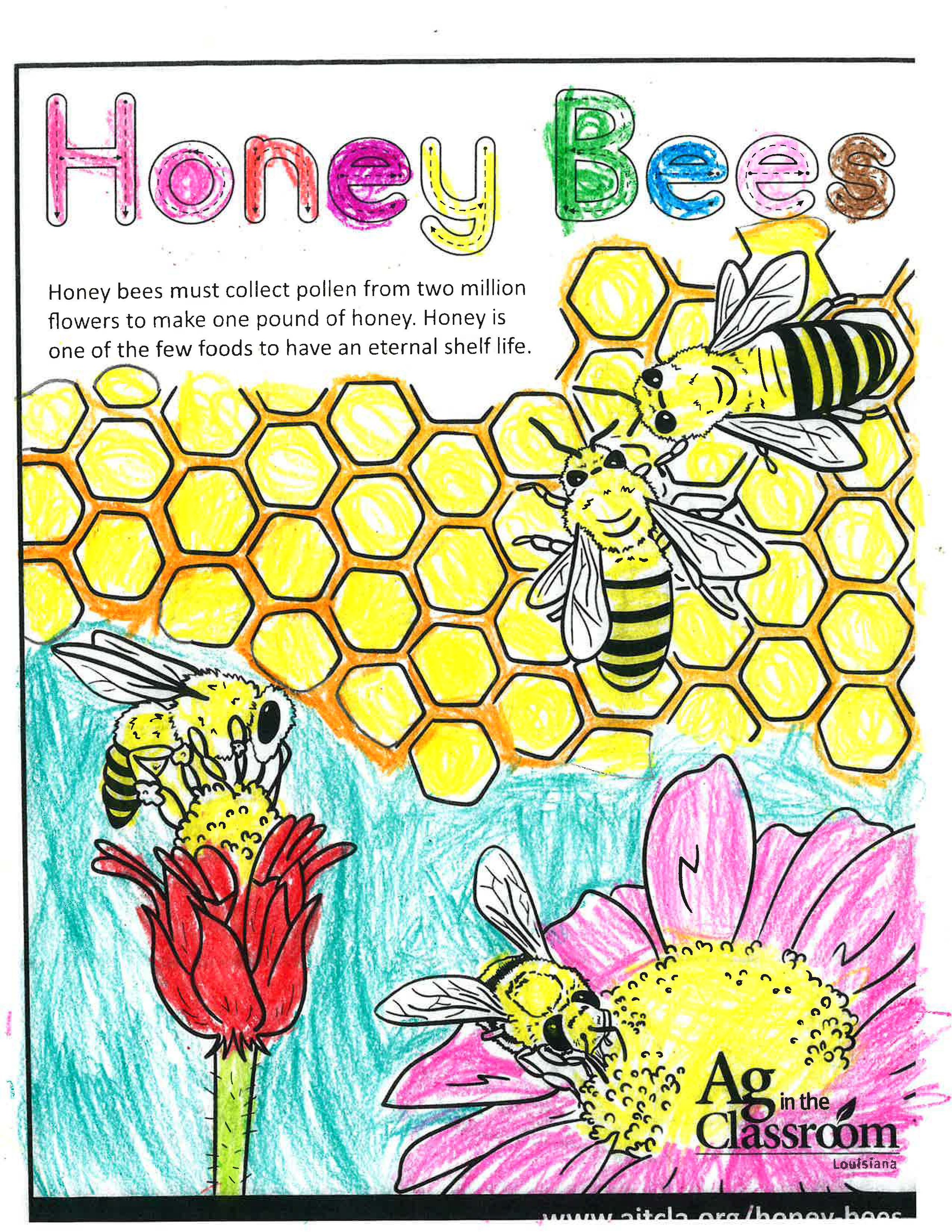 Honey Bees_LouisianaAgWeek2024_Page_11.jpg