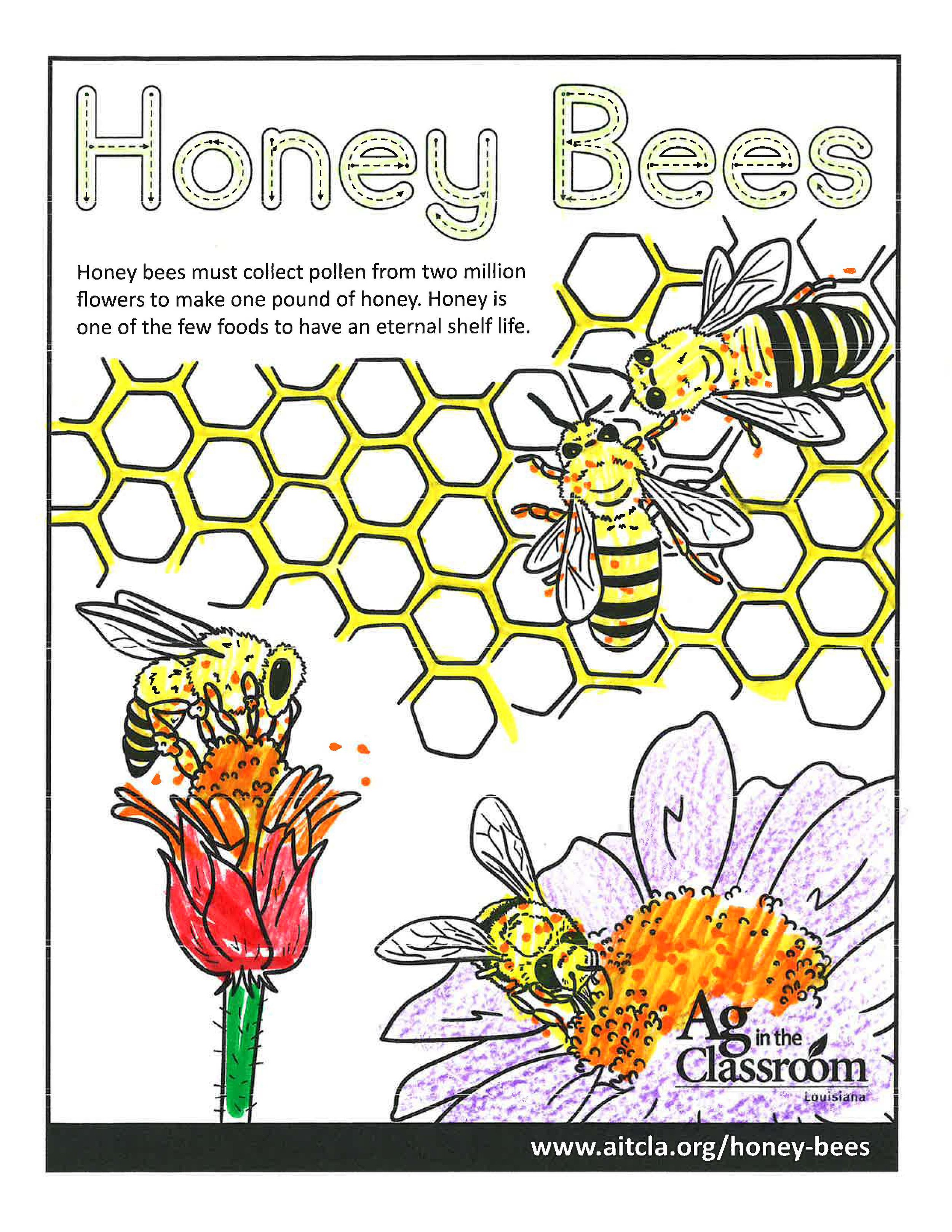 Honey Bees_LouisianaAgWeek2024_Page_12.jpg