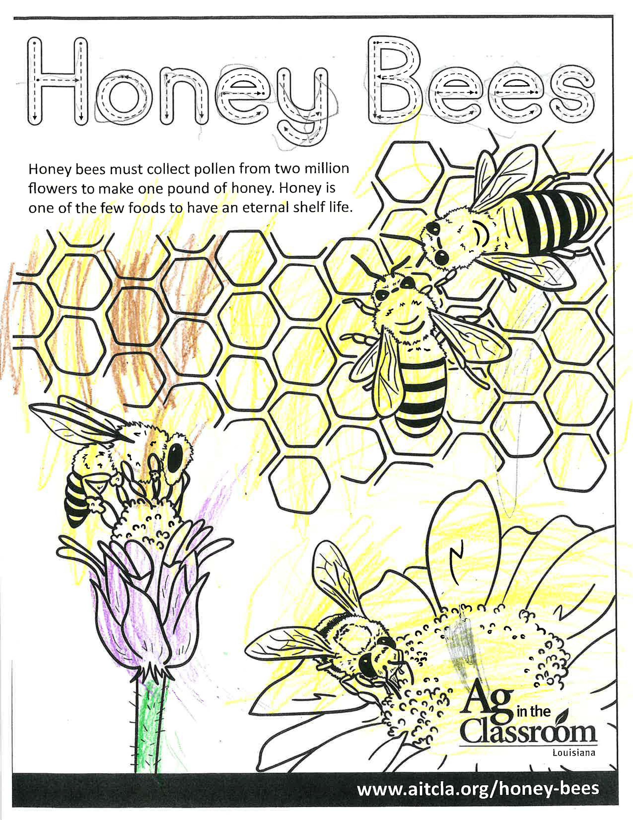 Honey Bees_LouisianaAgWeek2024_Page_13.jpg