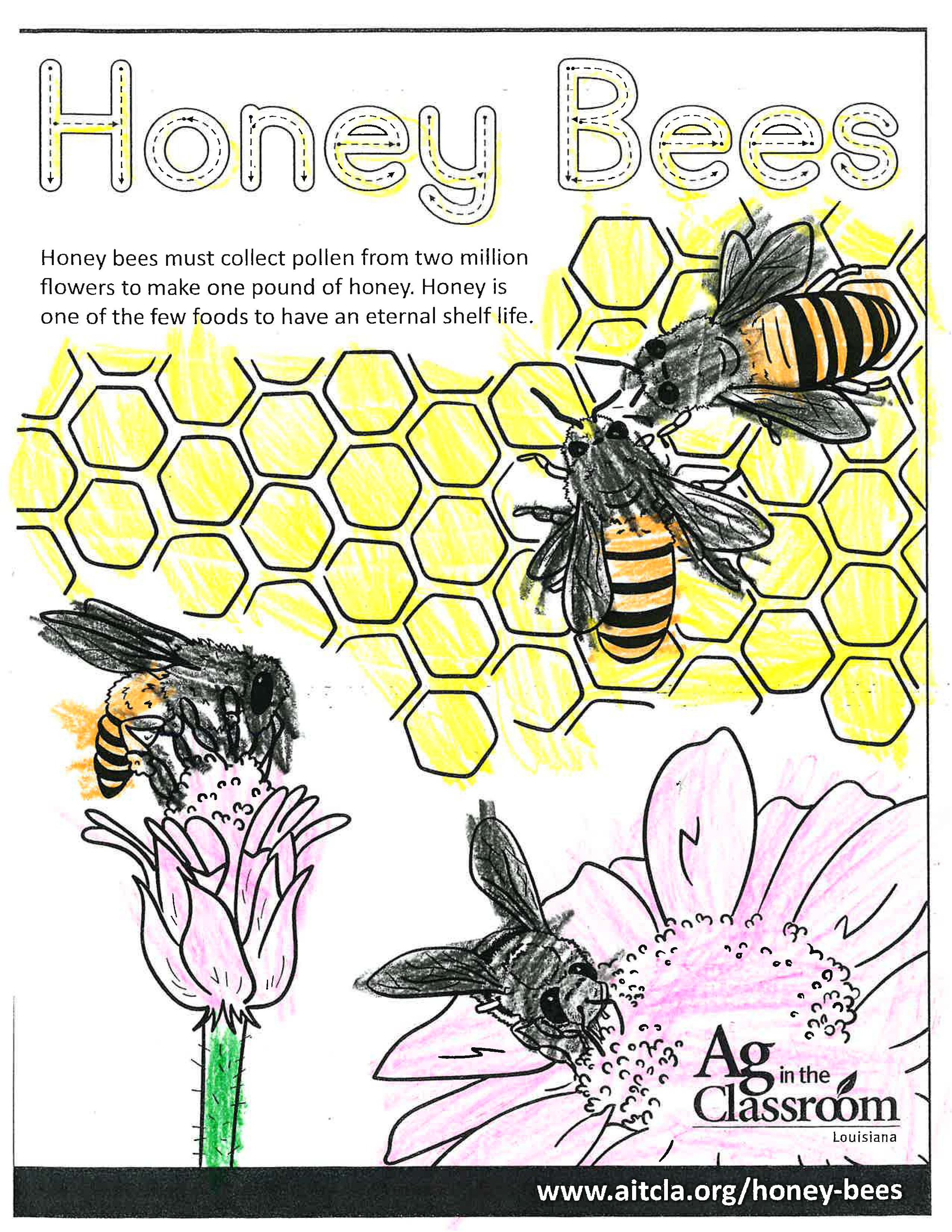 Honey Bees_LouisianaAgWeek2024_Page_14.jpg