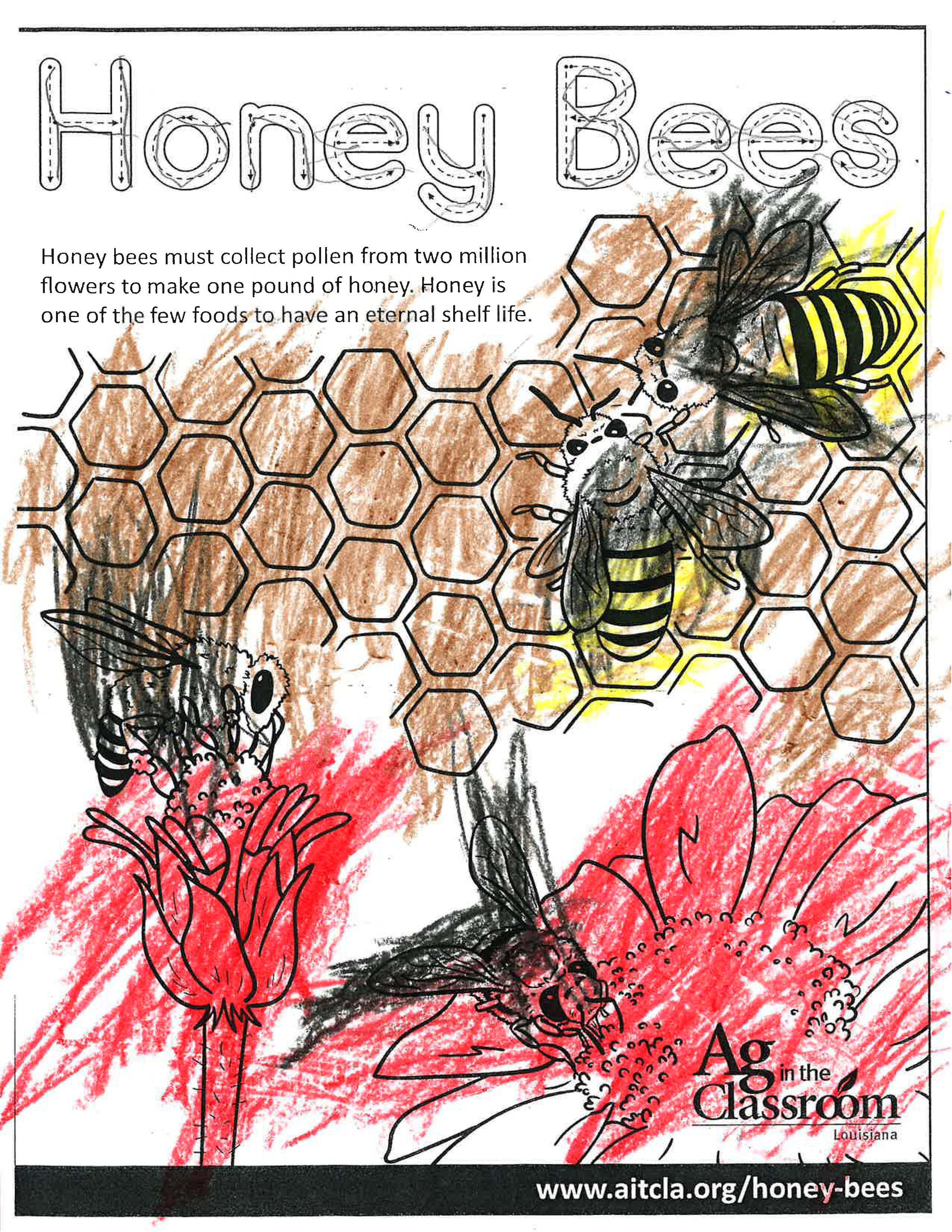 Honey Bees_LouisianaAgWeek2024_Page_15.jpg