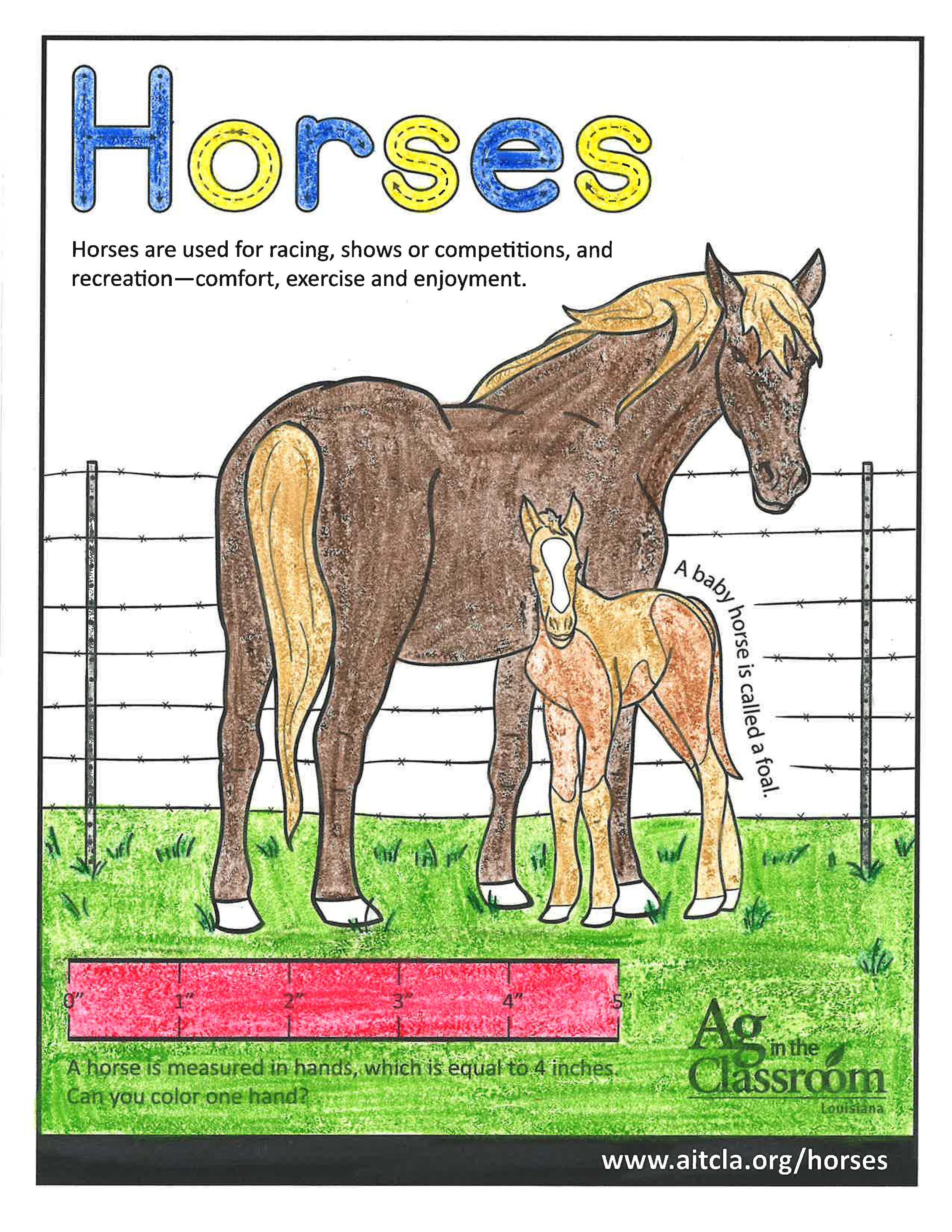 Horses_LouisianaAgWeek2024_Page_03.jpg