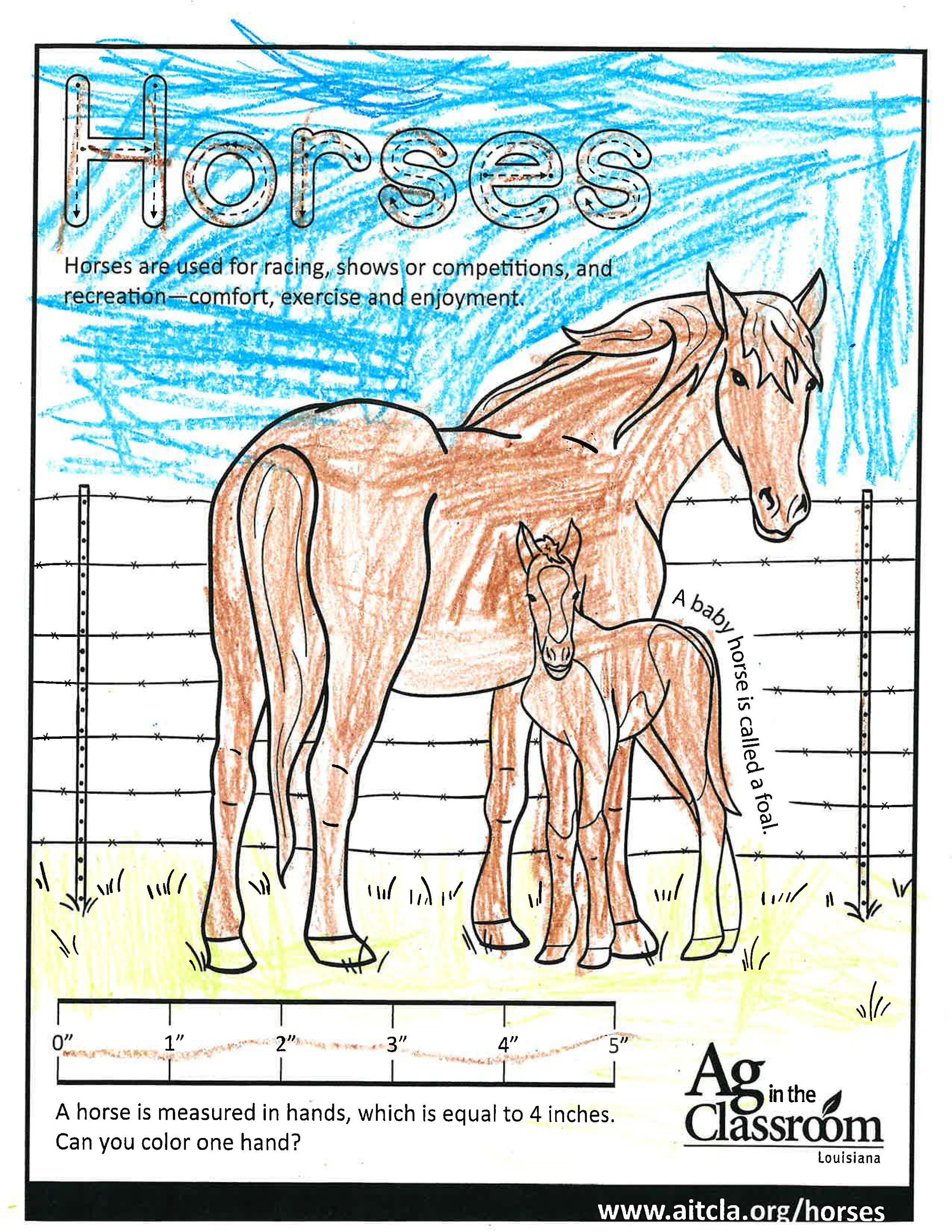 Horses_LouisianaAgWeek2024_Page_04.jpg