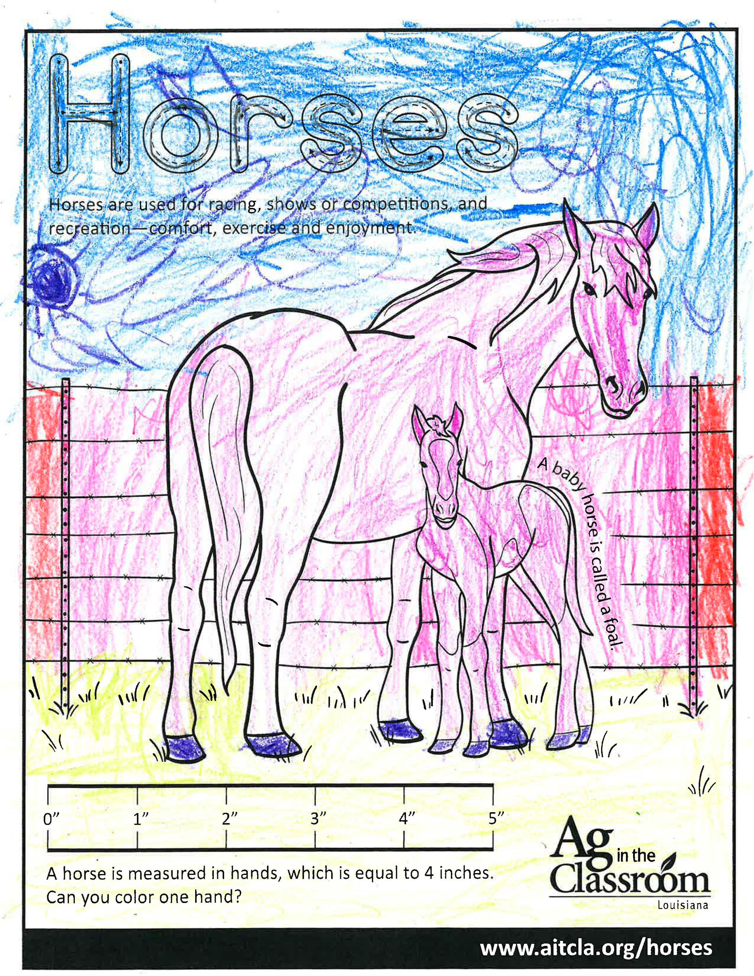 Horses_LouisianaAgWeek2024_Page_05.jpg
