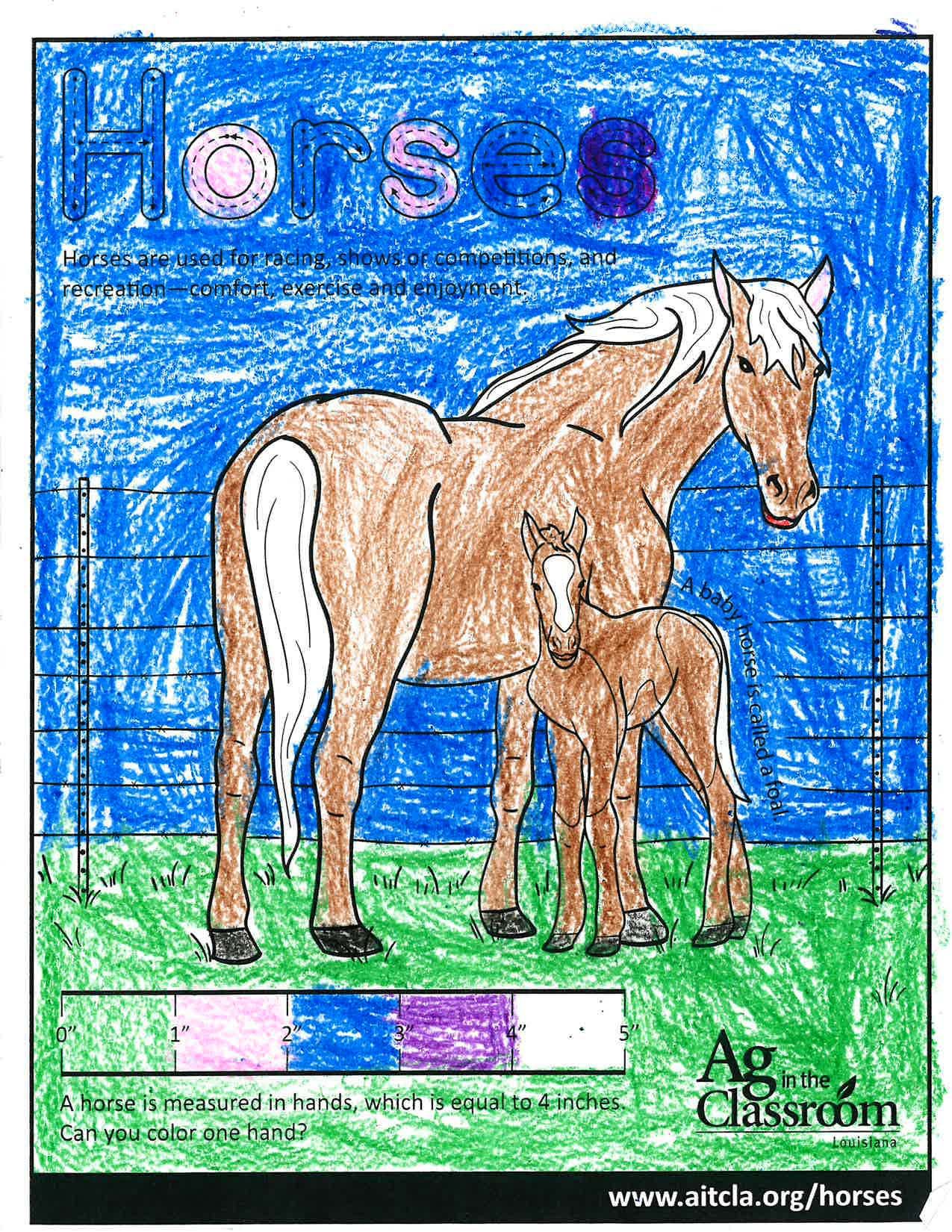 Horses_LouisianaAgWeek2024_Page_07.jpg