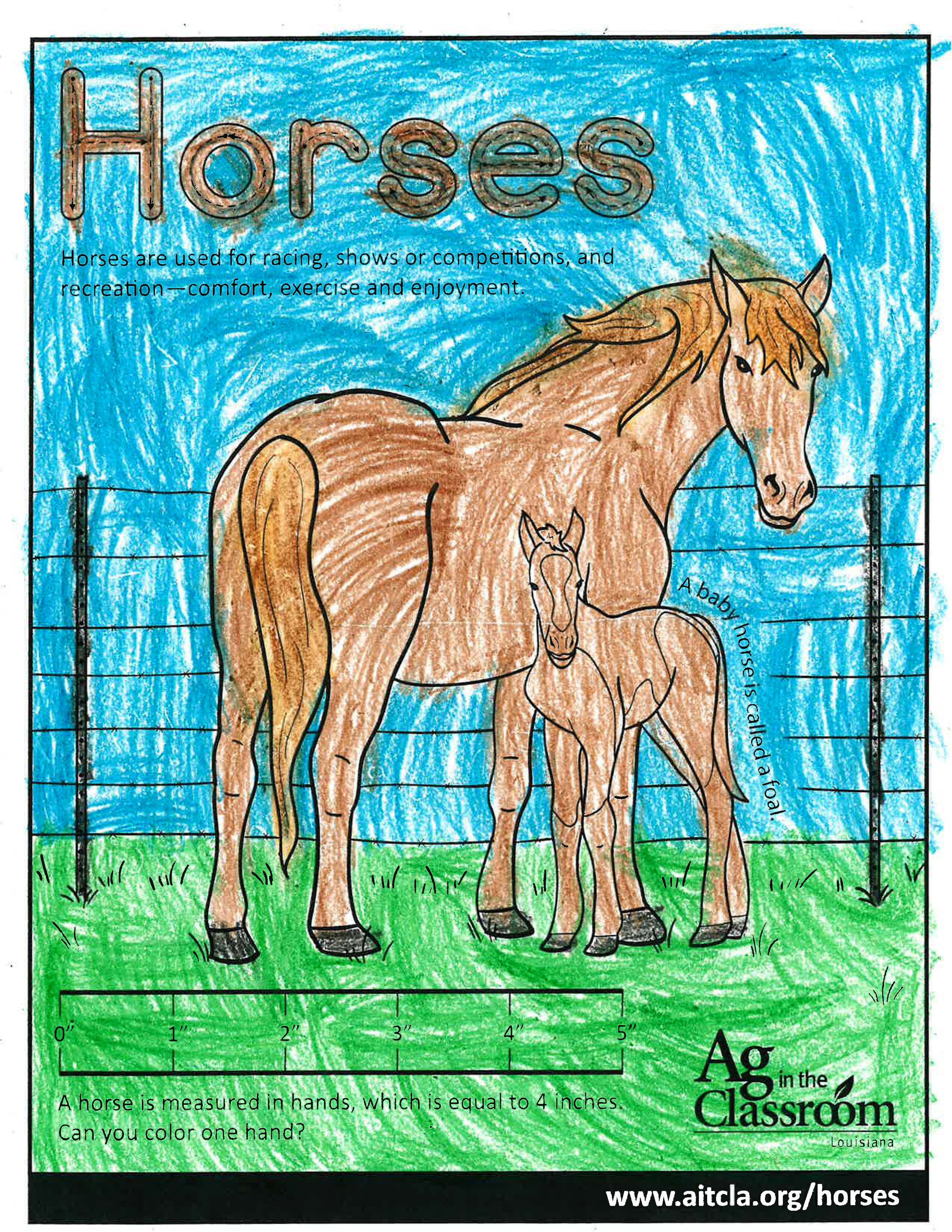 Horses_LouisianaAgWeek2024_Page_08.jpg