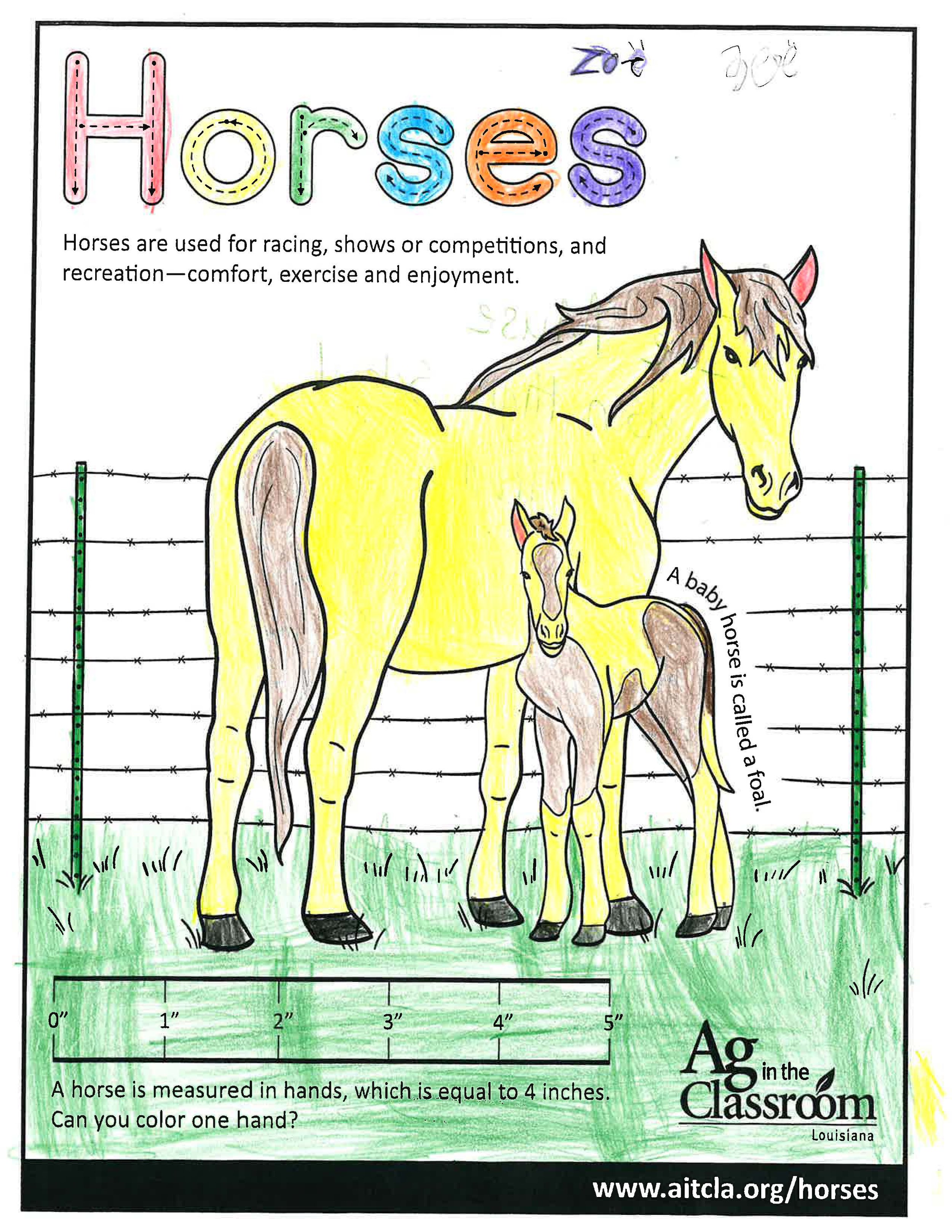 Horses_LouisianaAgWeek2024_Page_09.jpg