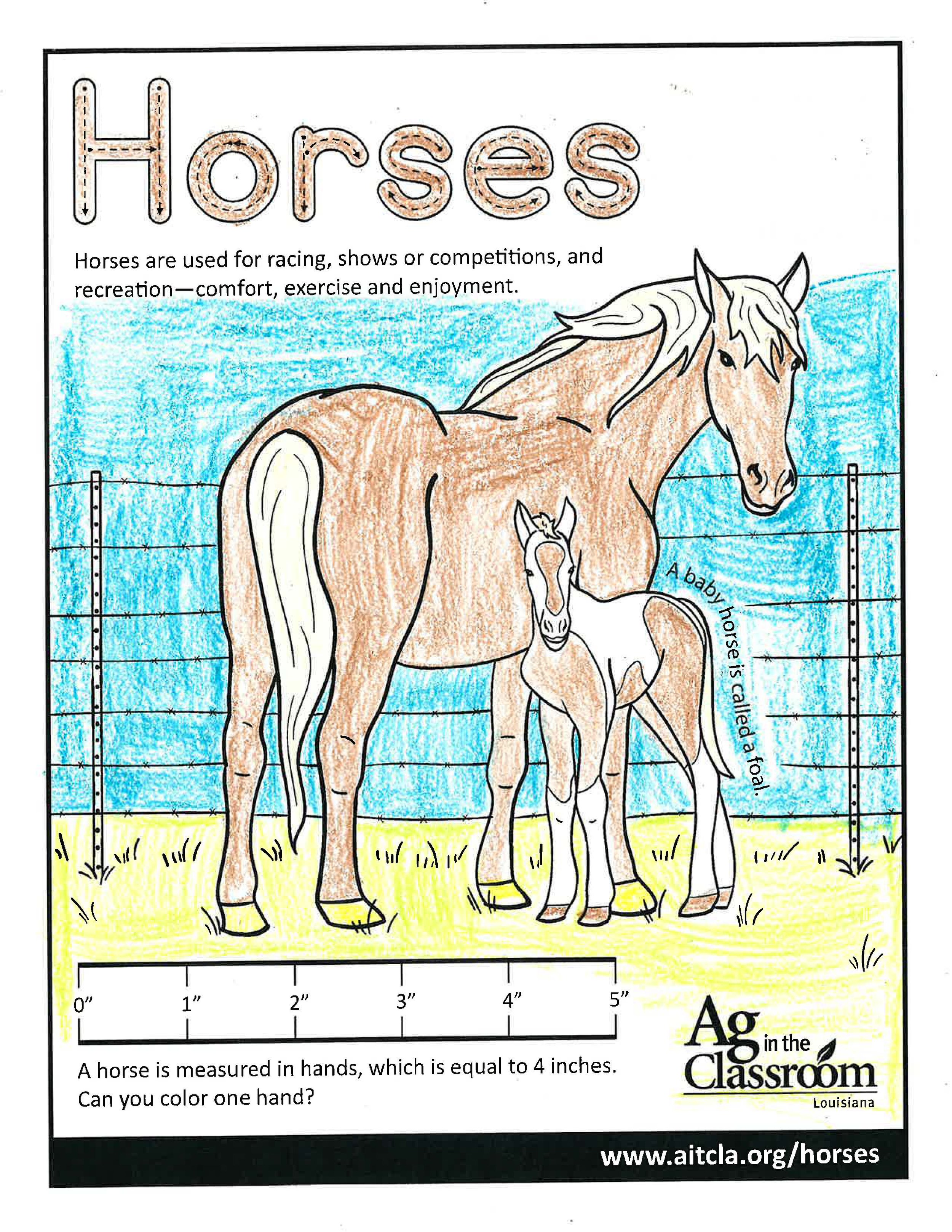 Horses_LouisianaAgWeek2024_Page_10.jpg
