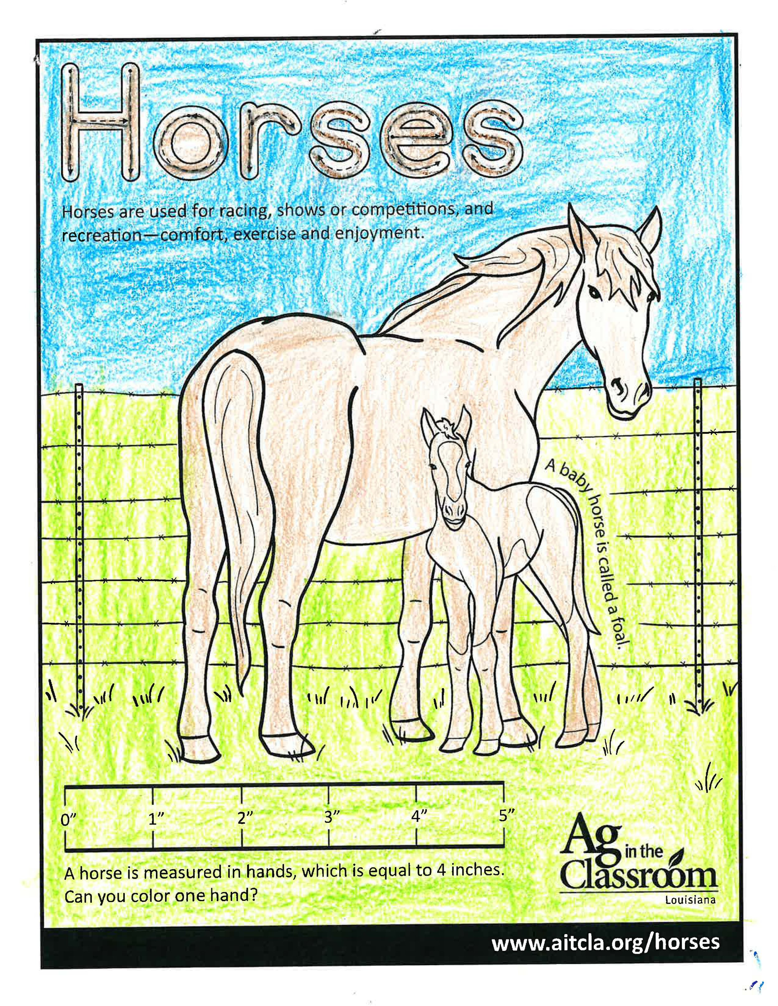 Horses_LouisianaAgWeek2024_Page_12.jpg