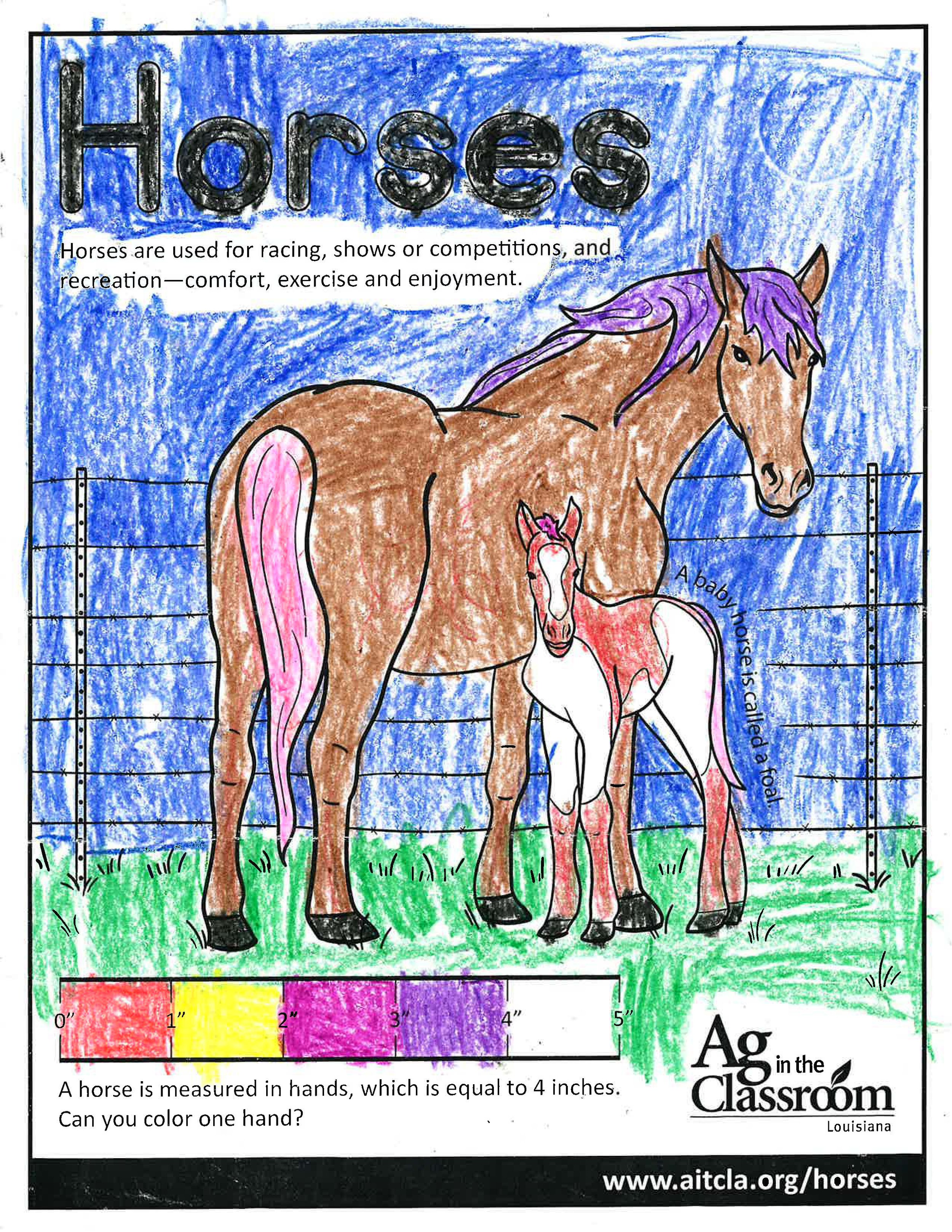 Horses_LouisianaAgWeek2024_Page_15.jpg