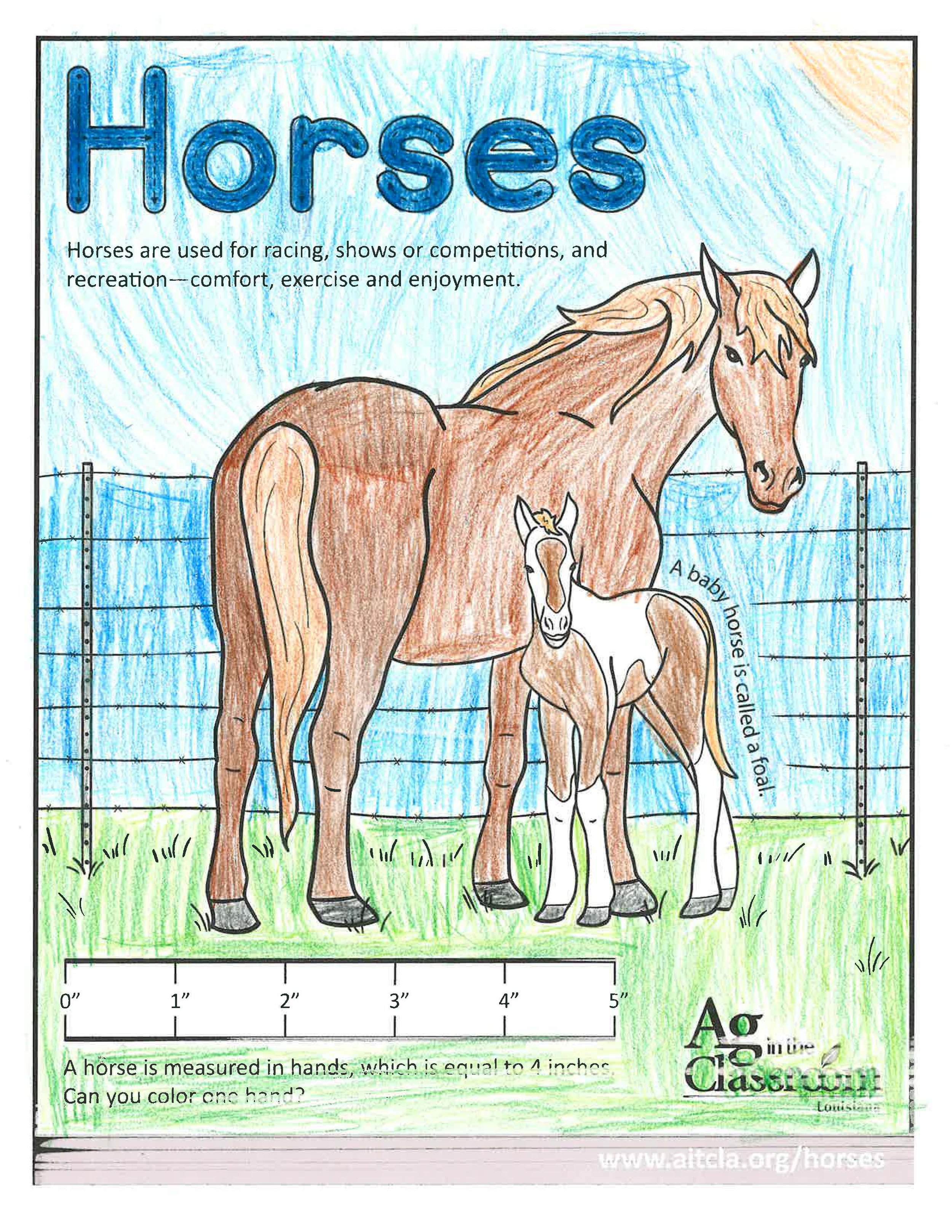 Horses_LouisianaAgWeek2024_Page_16.jpg