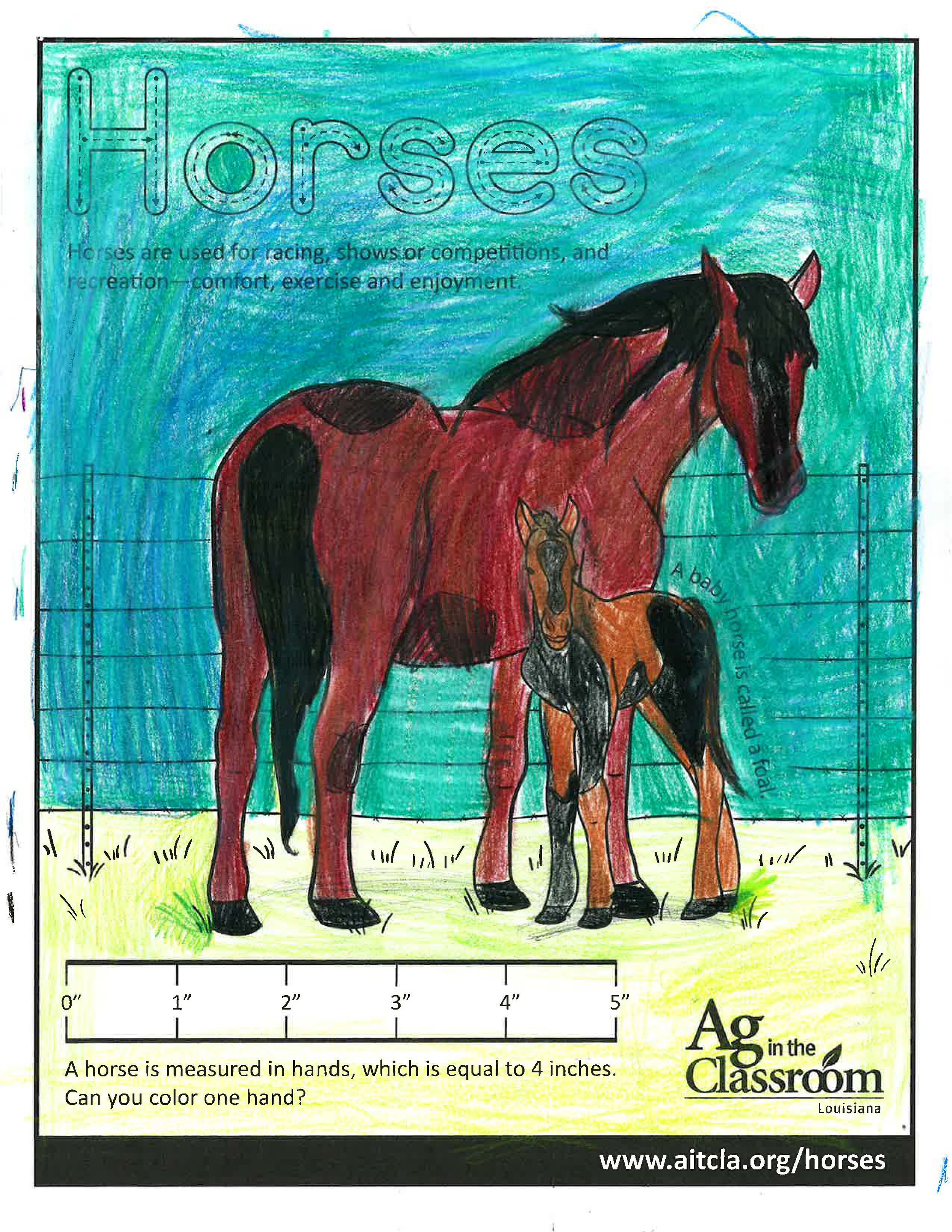 Horses_LouisianaAgWeek2024_Page_17.jpg