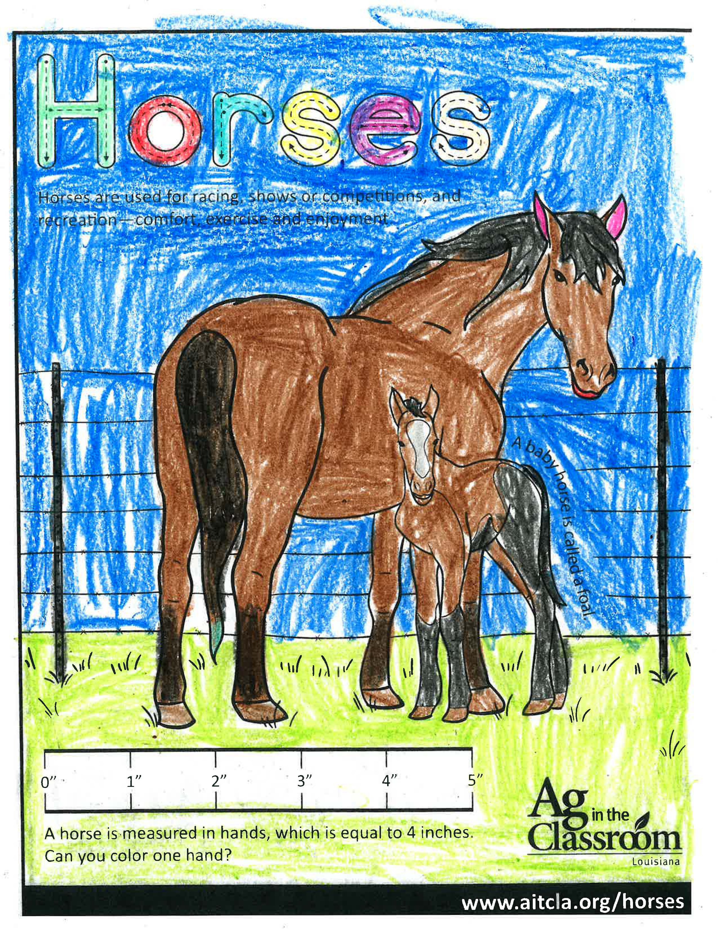 Horses_LouisianaAgWeek2024_Page_18.jpg