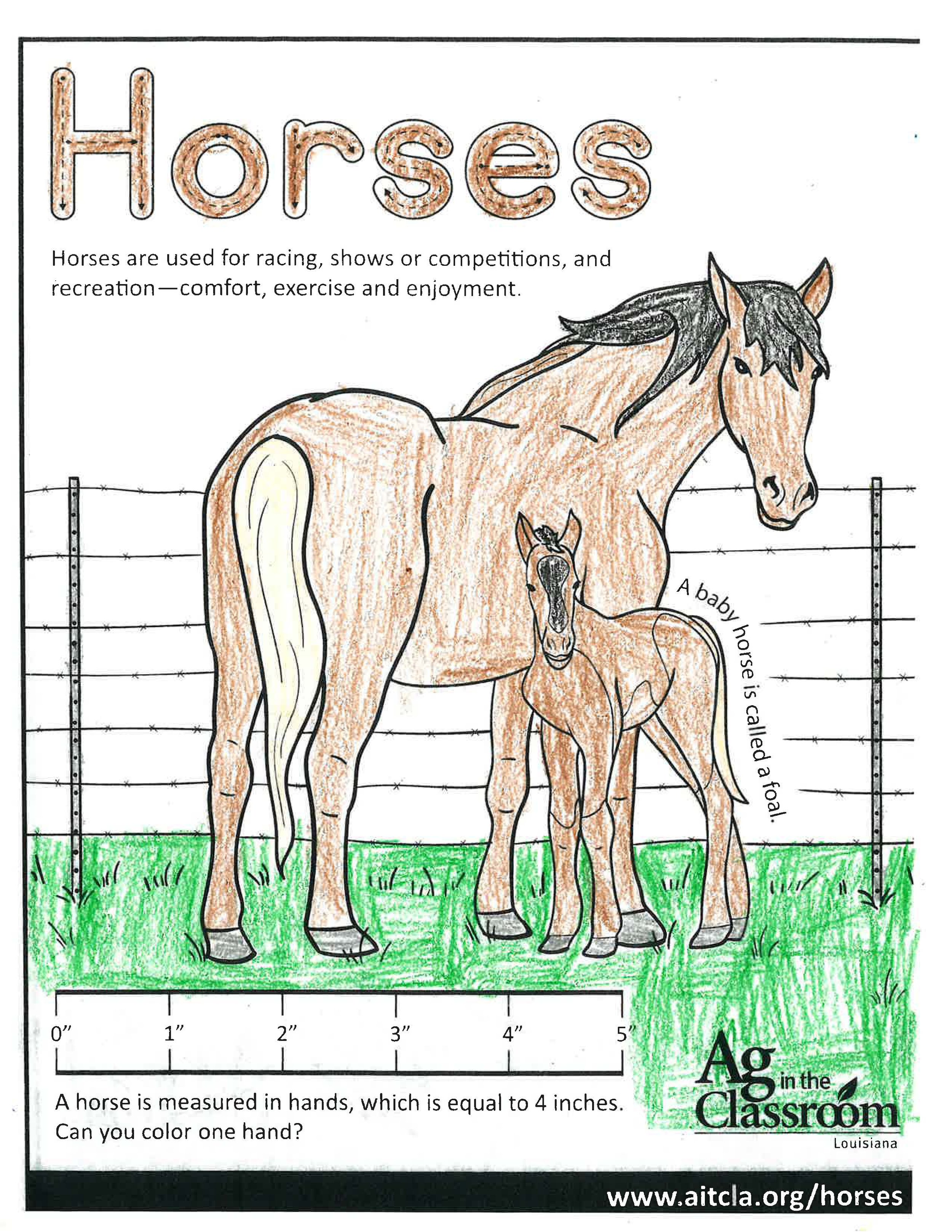 Horses_LouisianaAgWeek2024_Page_20.jpg