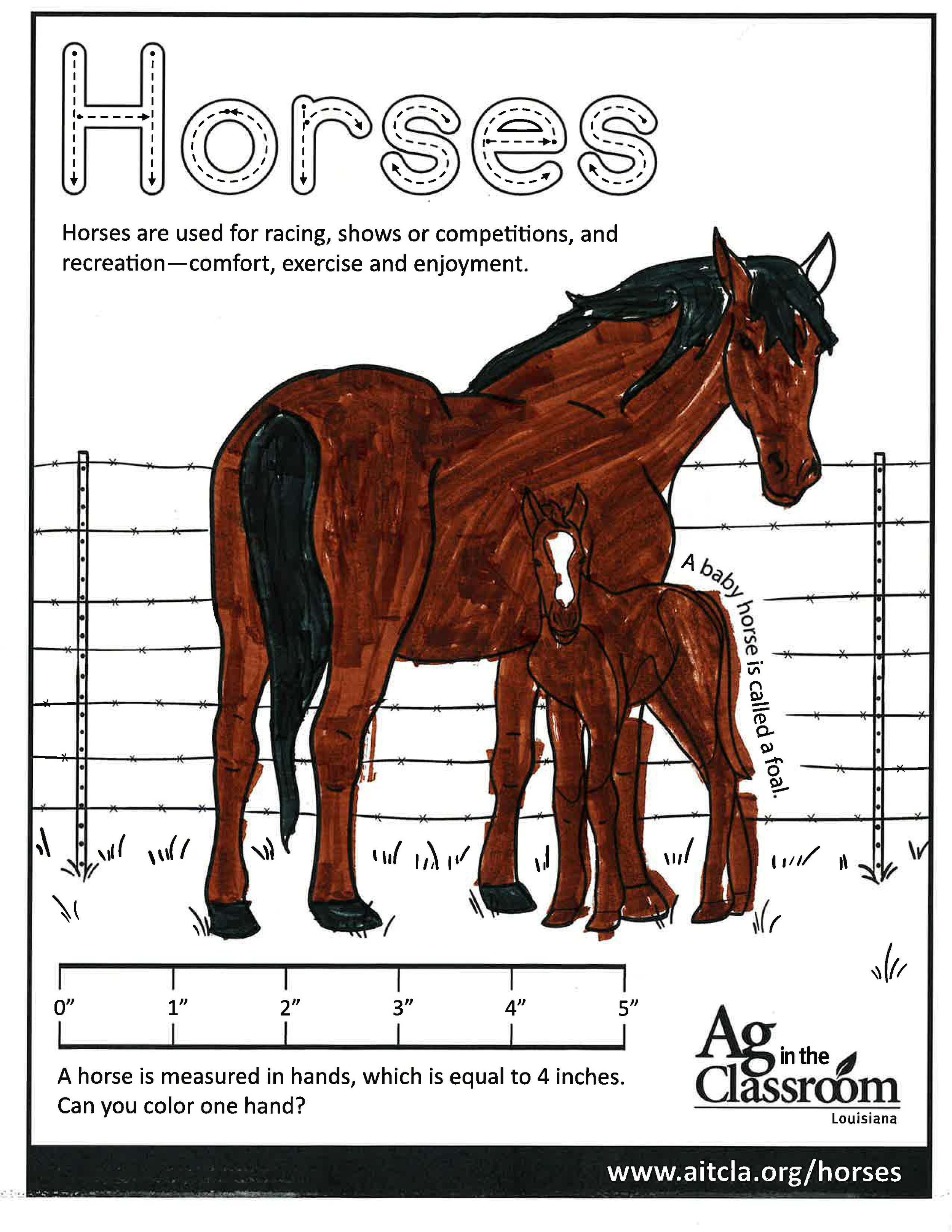 Horses_LouisianaAgWeek2024_Page_21.jpg