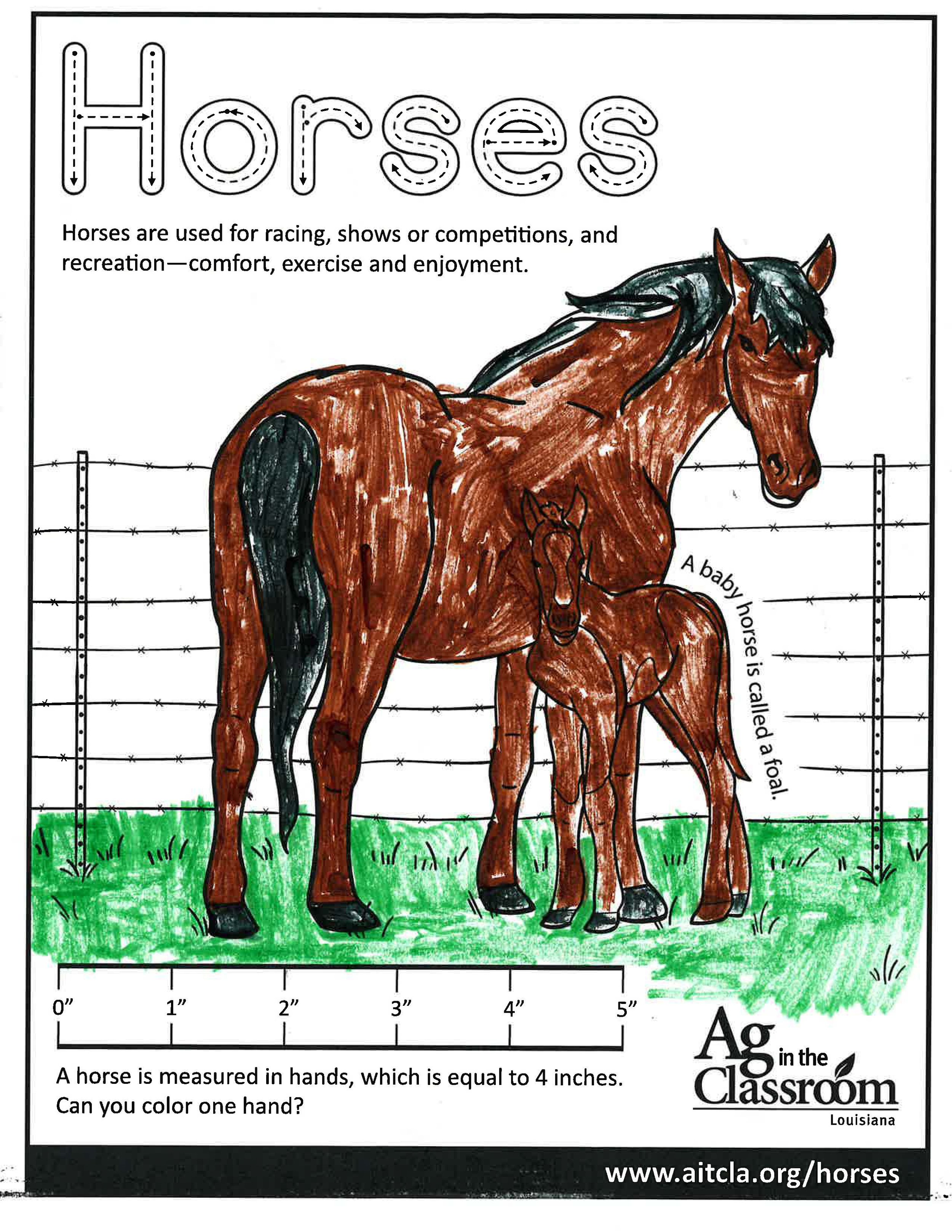 Horses_LouisianaAgWeek2024_Page_22.jpg