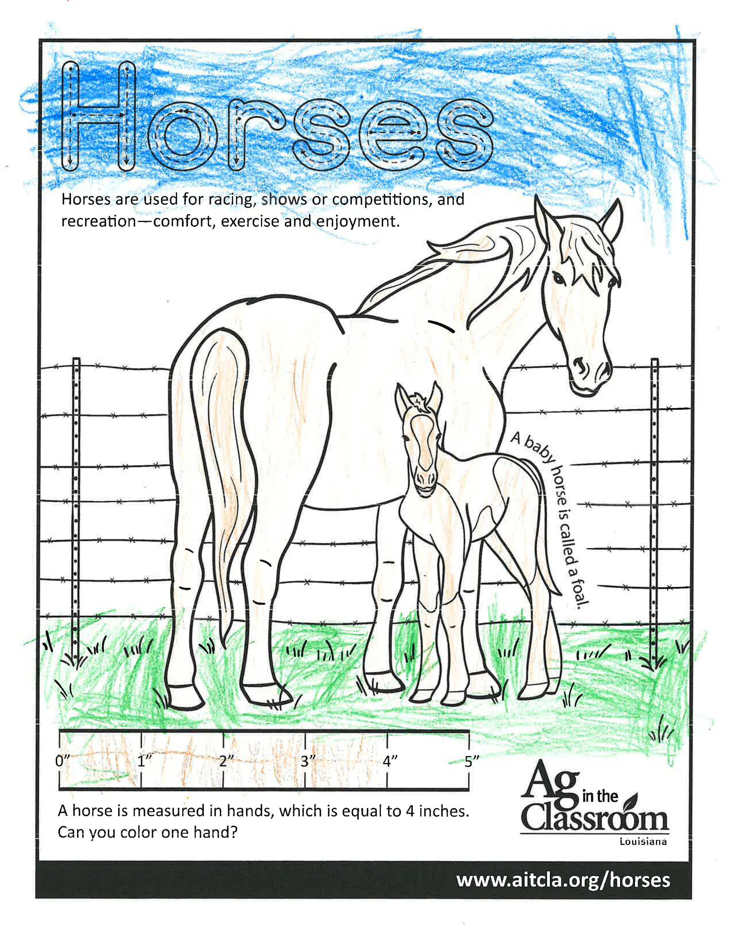 Horses_LouisianaAgWeek2024_Page_23.jpg