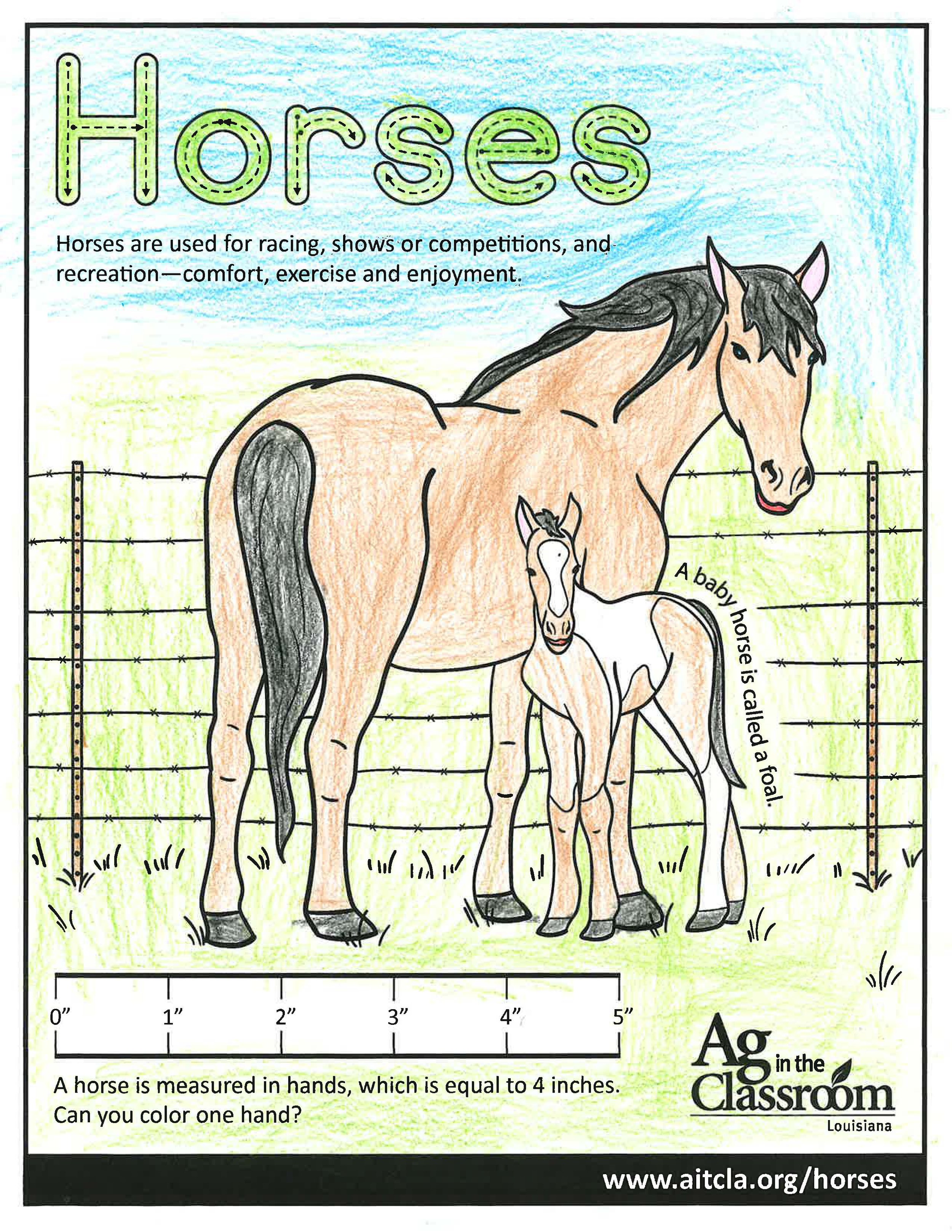 Horses_LouisianaAgWeek2024_Page_24.jpg